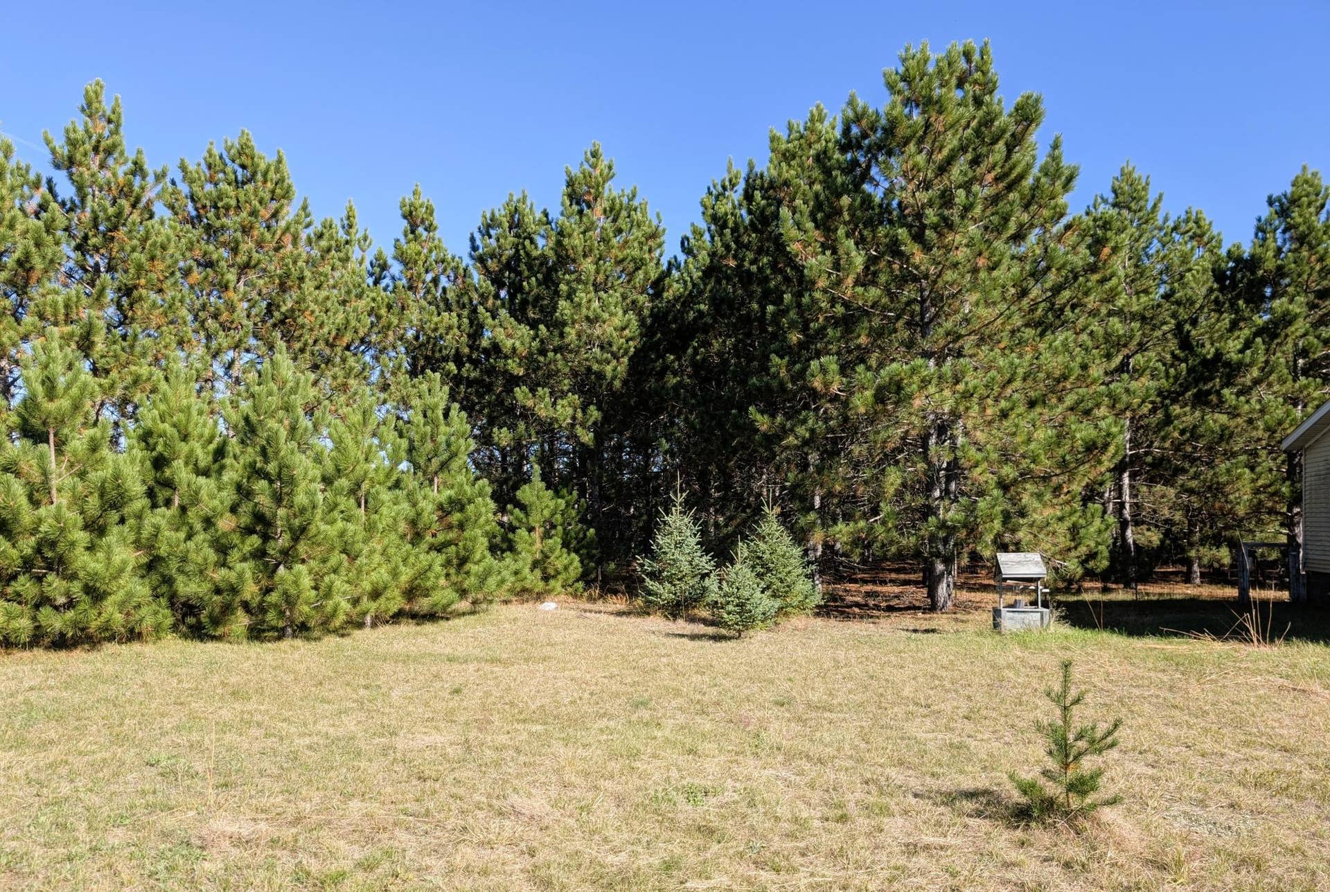 7126 Tribute Lane NW, Bemidji, MN 56601 PXL_20260930_194056586.jpg
