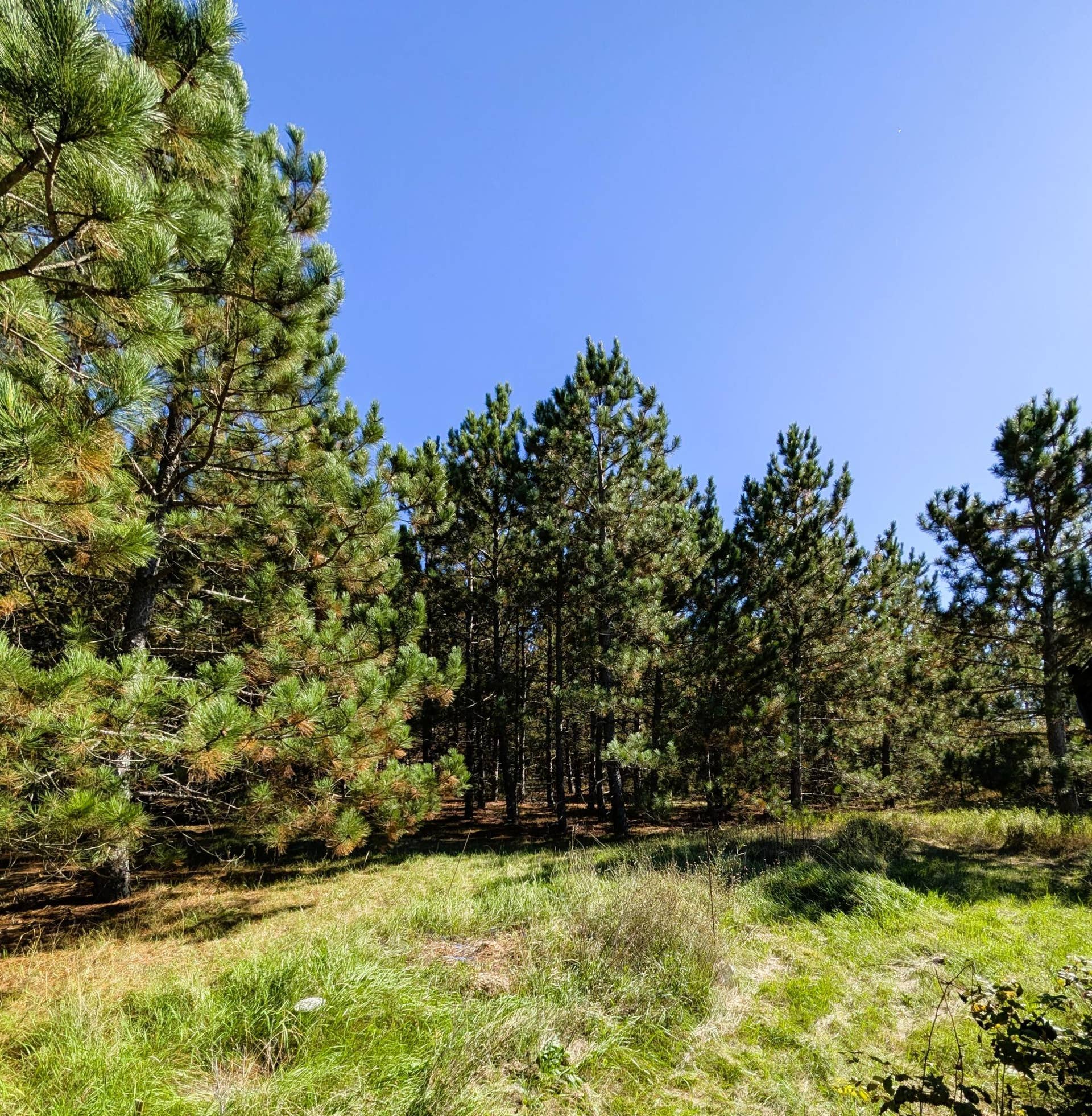 7126 Tribute Lane NW, Bemidji, MN 56601 PXL_20260930_192414162.jpg