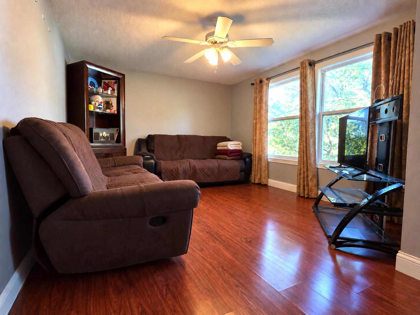 3913 52nd Avenue N, Brooklyn Center, MN 55429 Living room