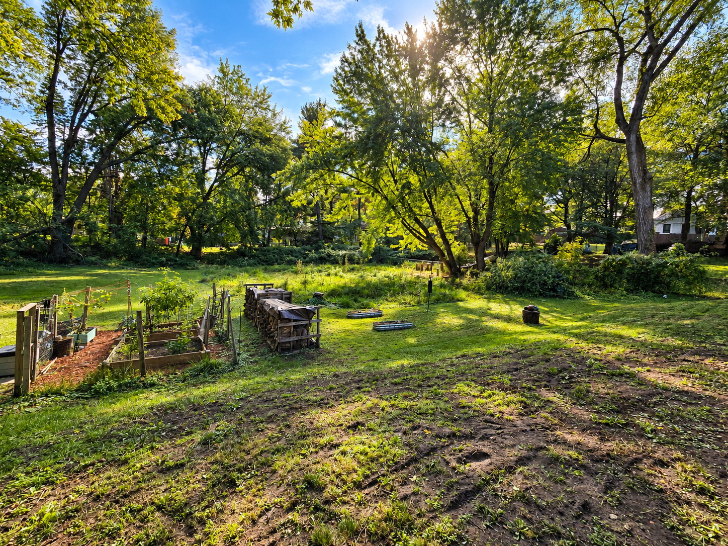 3913 52nd Avenue N, Brooklyn Center, MN 55429 Backyard