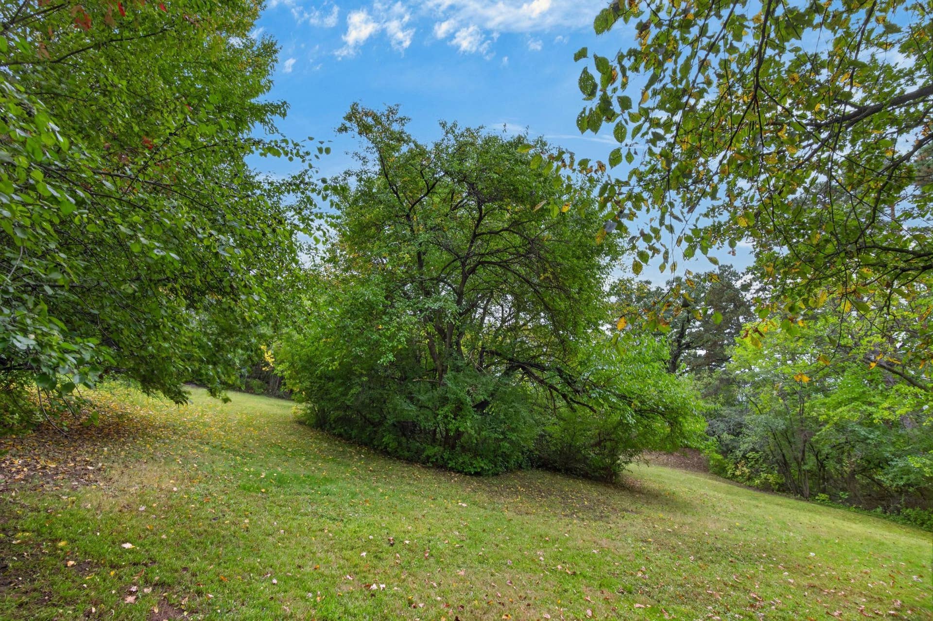 TBD Oakridge, 88, Saint Paul, MN 55119 TBD Oakridge, 88, Saint Paul, MN 55119