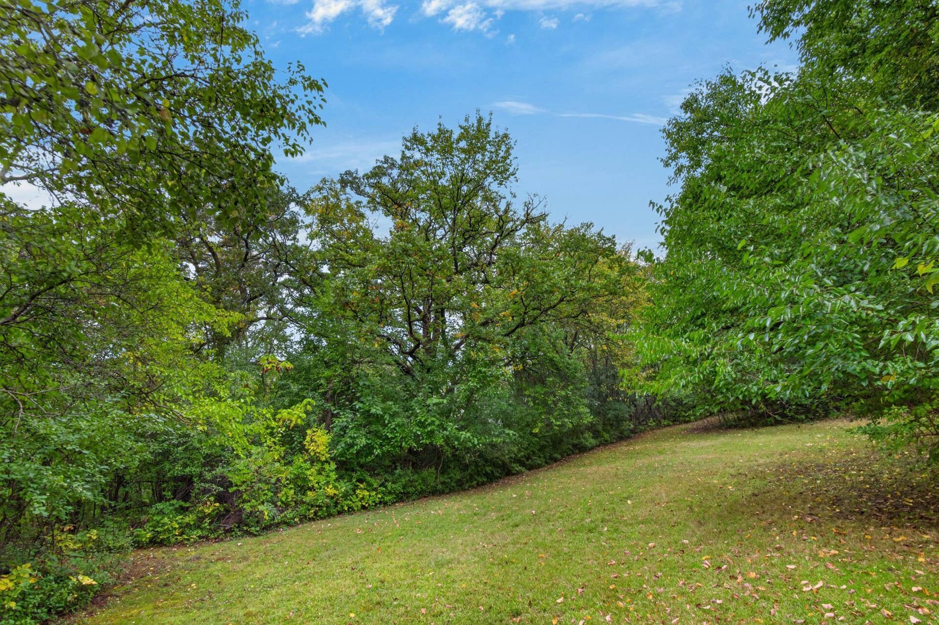 TBD Oakridge, 88, Saint Paul, MN 55119 TBD Oakridge, 88, Saint Paul, MN 55119
