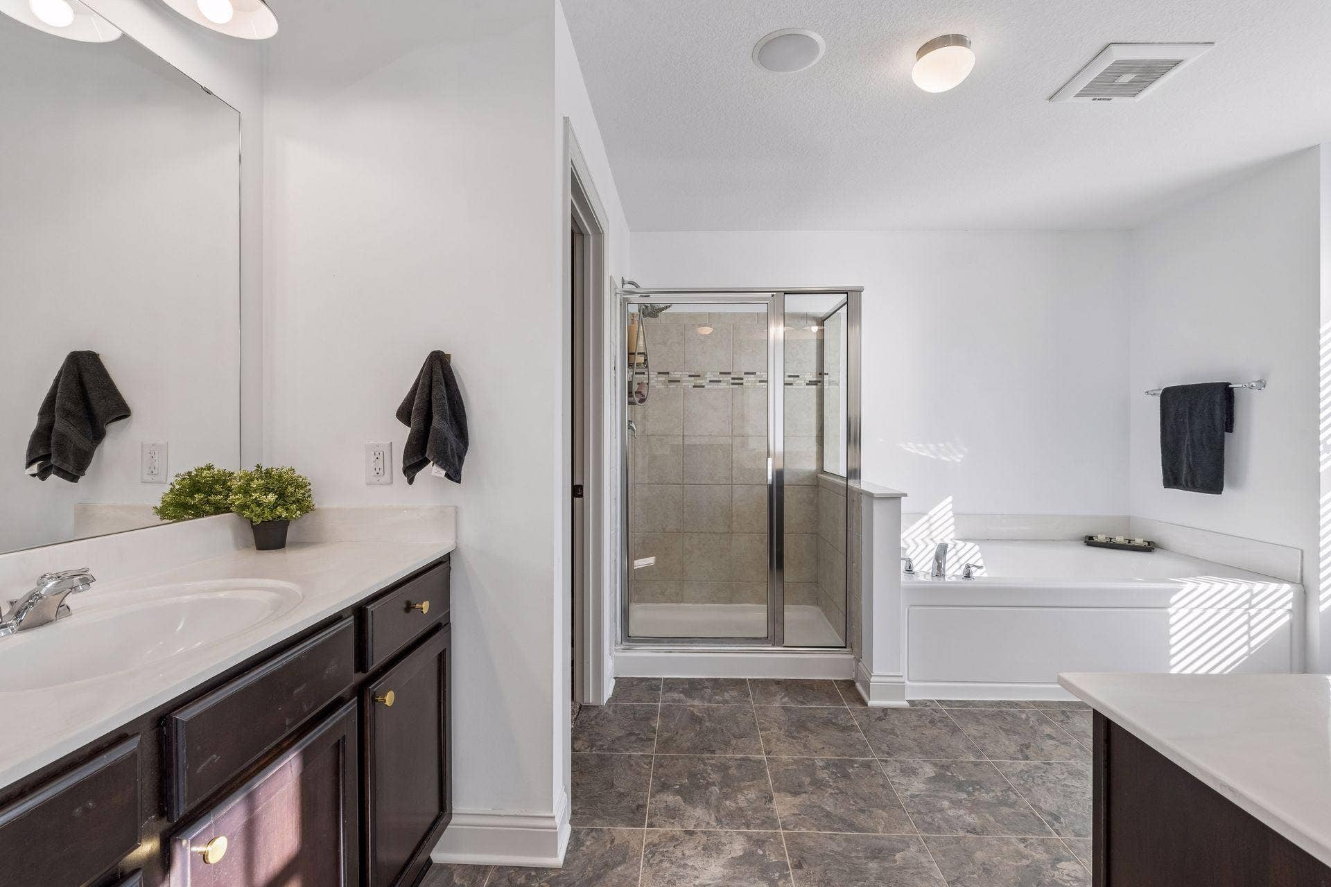 1078 Rosemary Circle, Chaska, MN 55318
