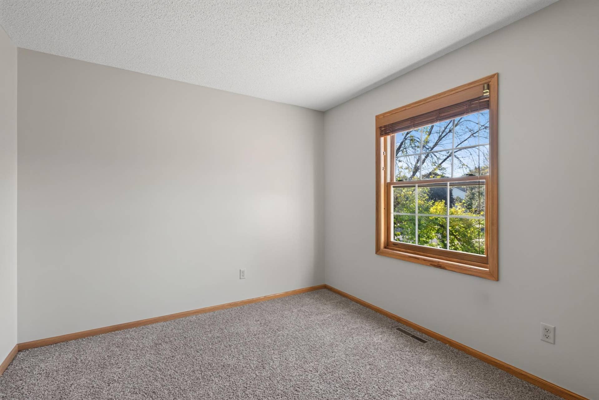 18418 85th Place N, Maple Grove, MN 55311 1000219632.jpg
