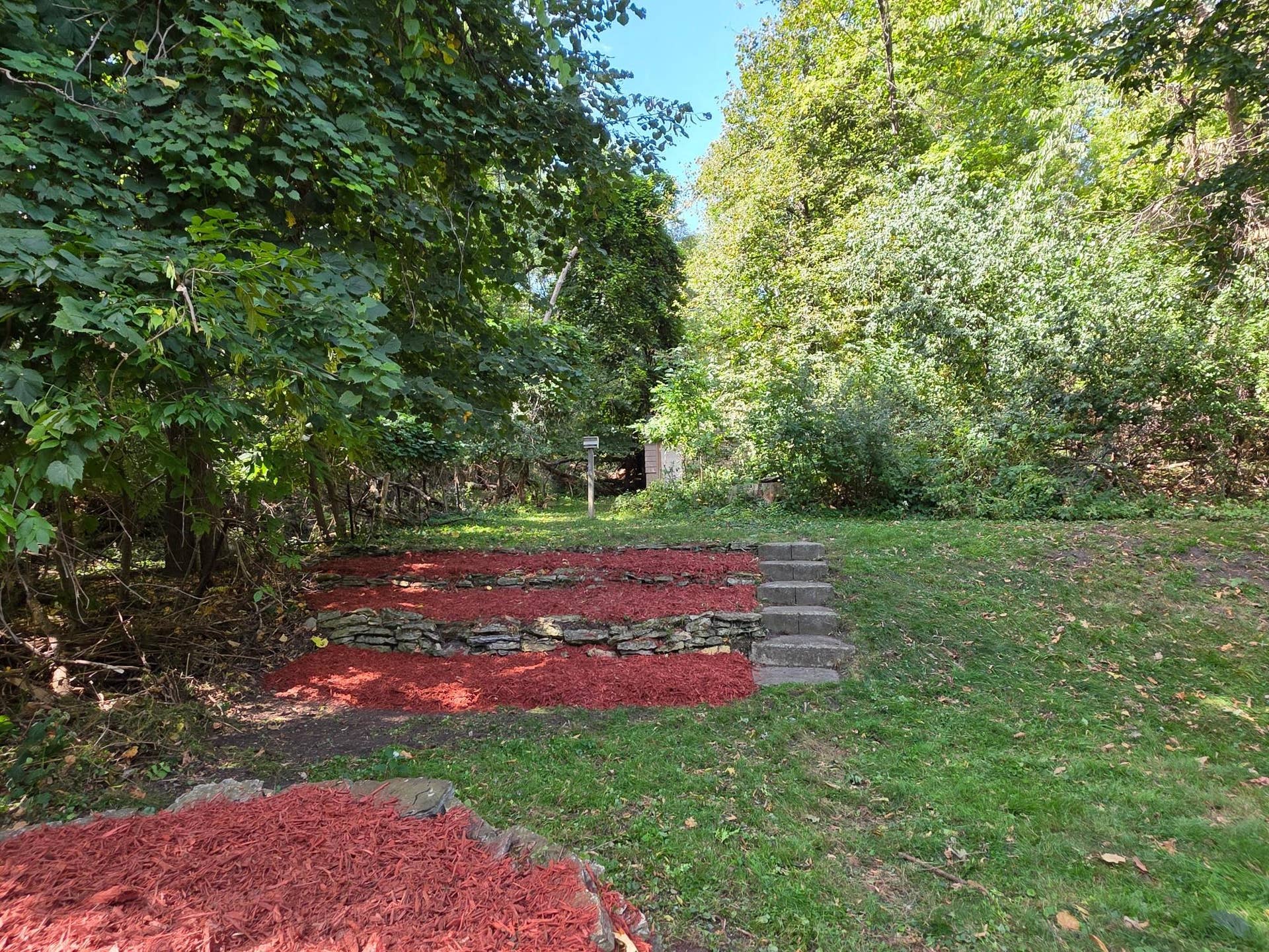 Stairs leading to shed and backyard woods
