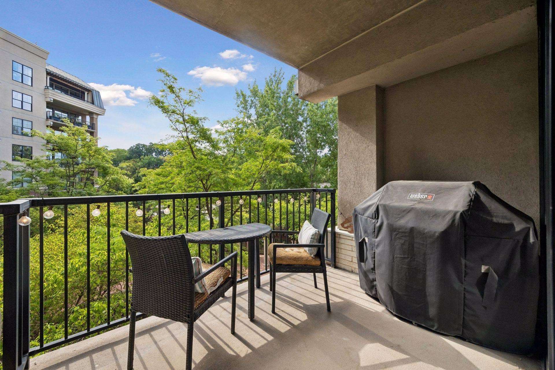 317 Groveland Avenue, #311, 45, Minneapolis, MN 55403 Private balcony