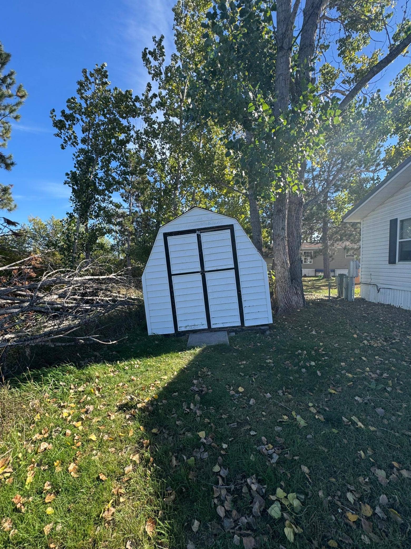 8x10 shed