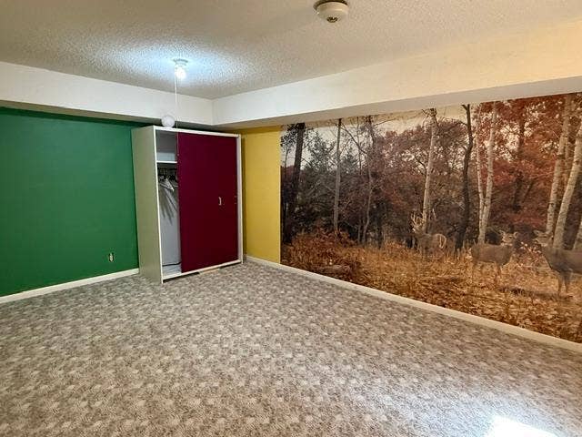 Basement Room