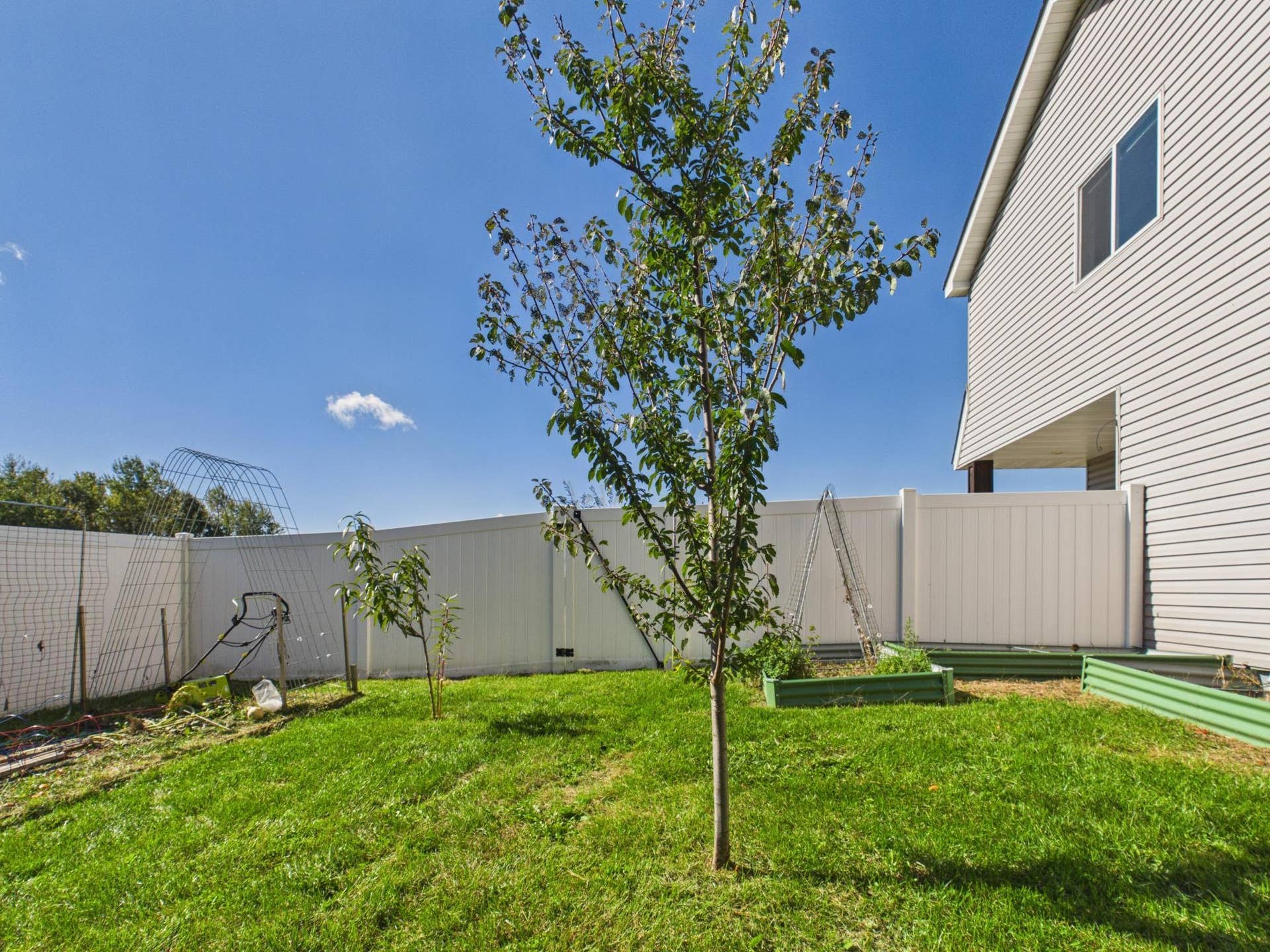 38377 Hunters Ridge Trail, North Branch, MN 55056 Pear Tree