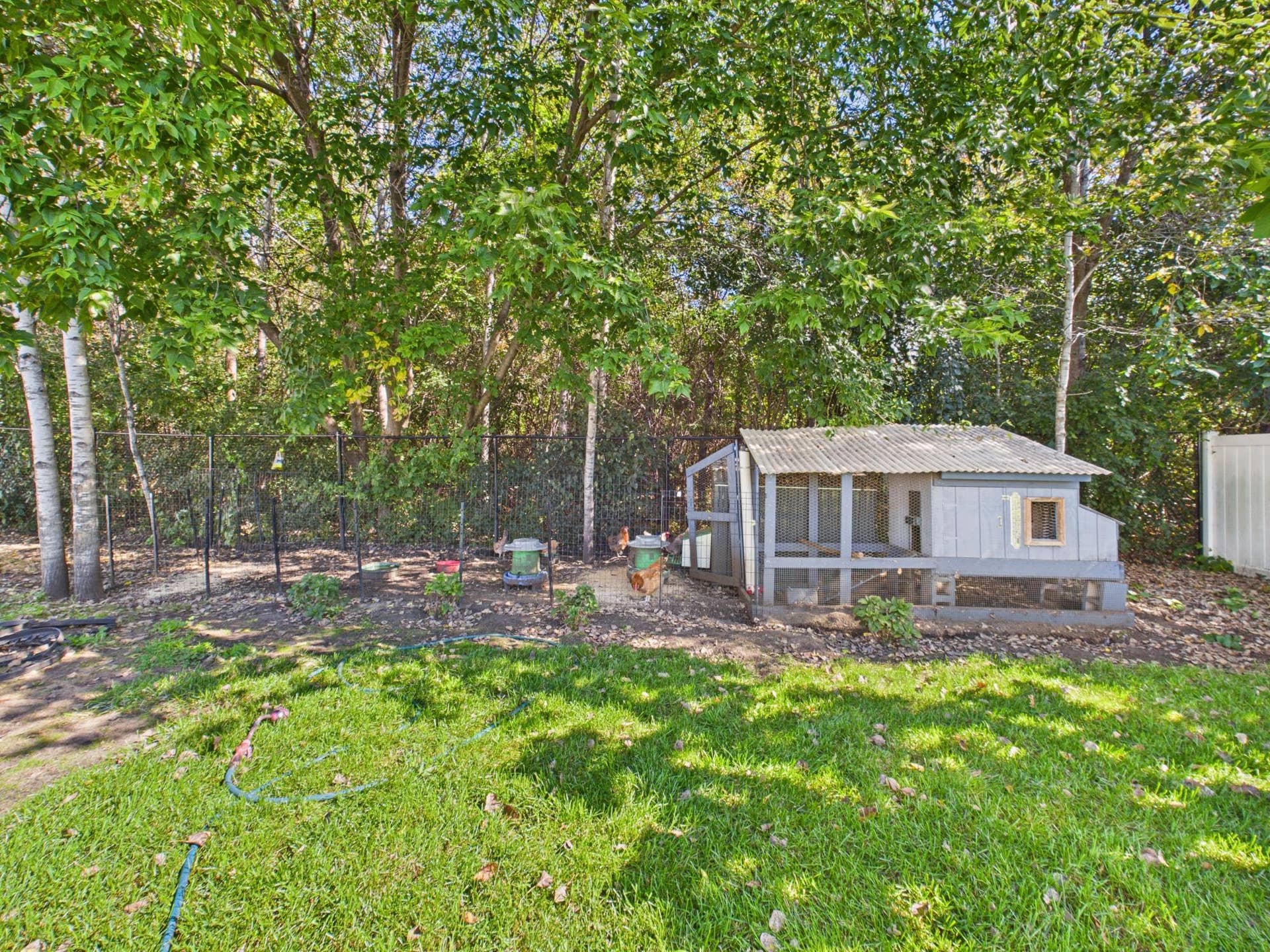 38377 Hunters Ridge Trail, North Branch, MN 55056 Chickens and coop can stay with the house or be removed.