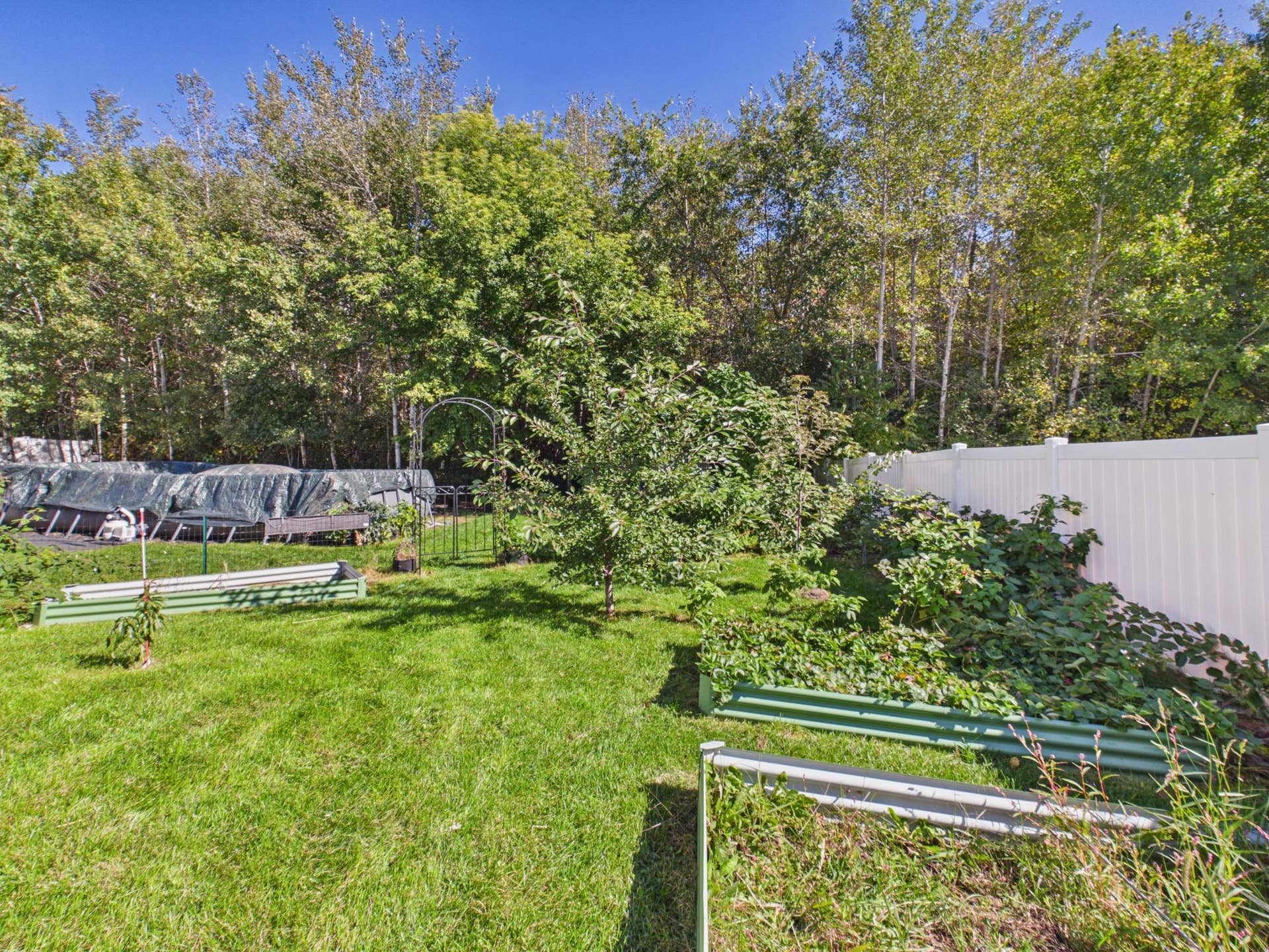 38377 Hunters Ridge Trail, North Branch, MN 55056 Fruit garden!