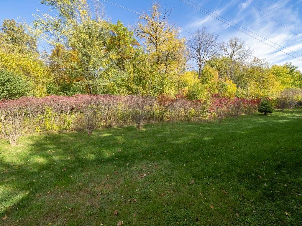 7080 Highway 12, #U, Independence, MN 55359 009-016-Back Yard-1024x768.jpg