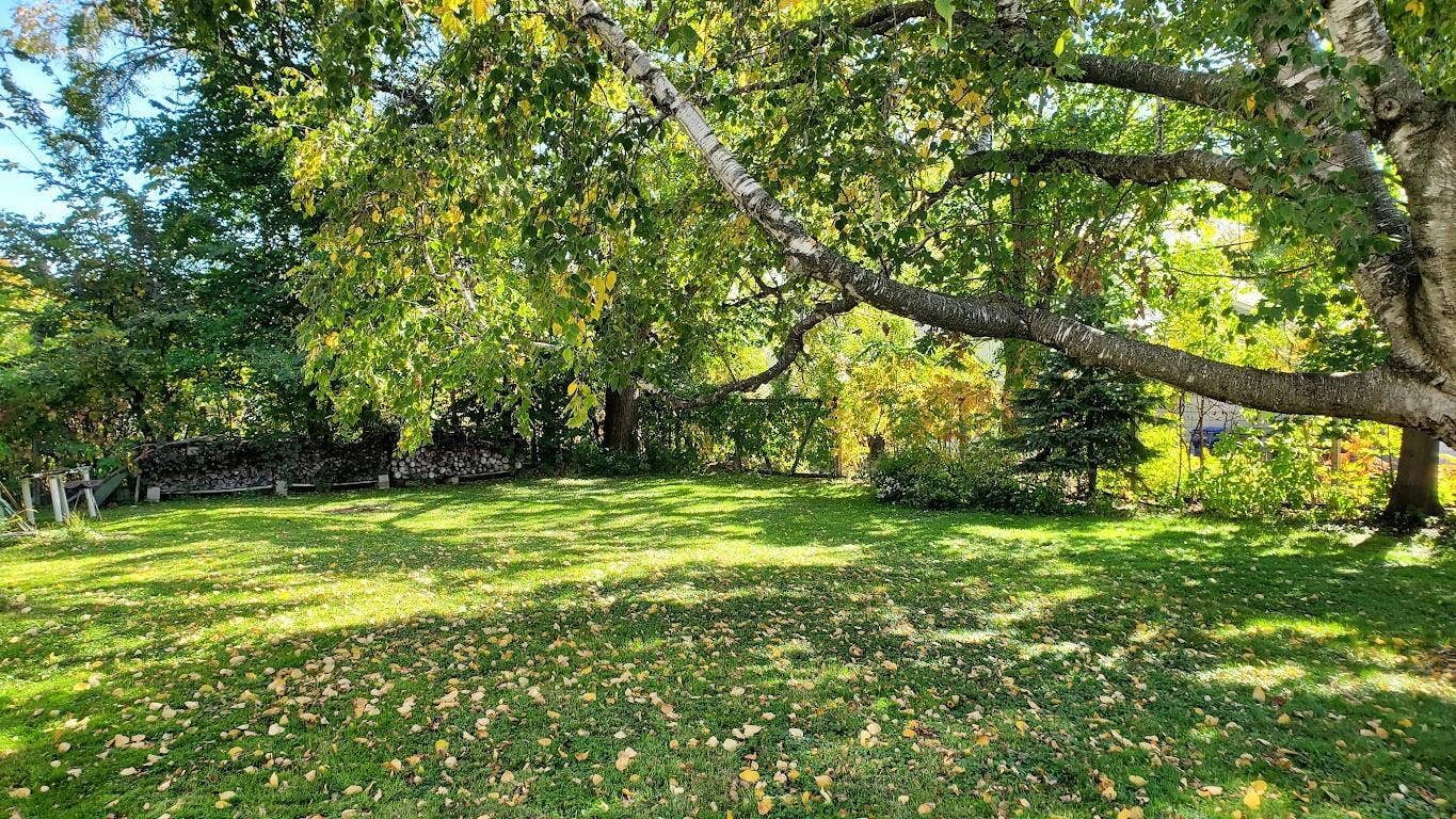 1988 Fremont Avenue E, 88, Saint Paul, MN 55119 20261006_124330.jpg