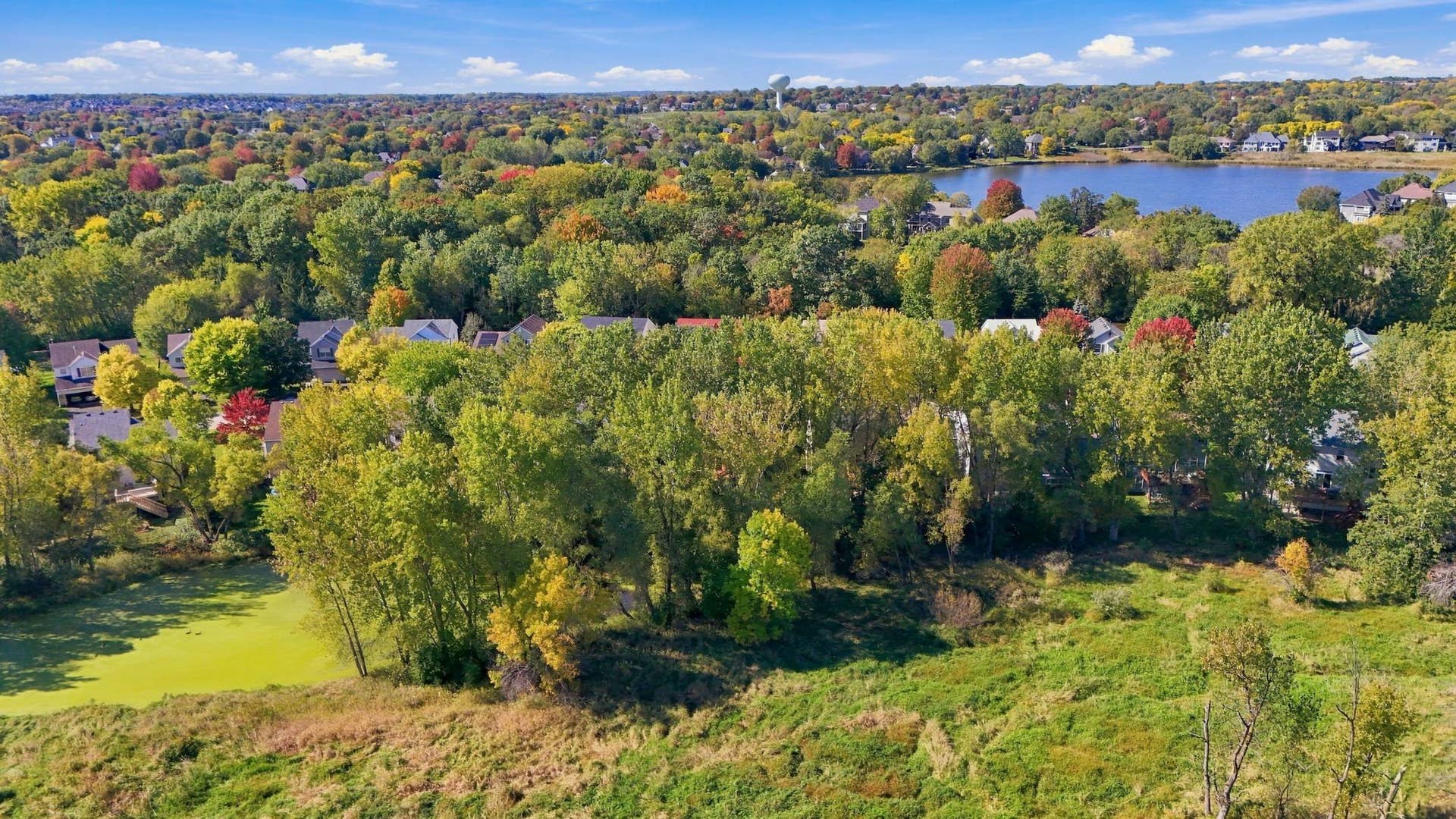 3291 N View Lane, Woodbury, MN 55125 31-print-30-print-DJI_20261004124029_0302_D.jpg