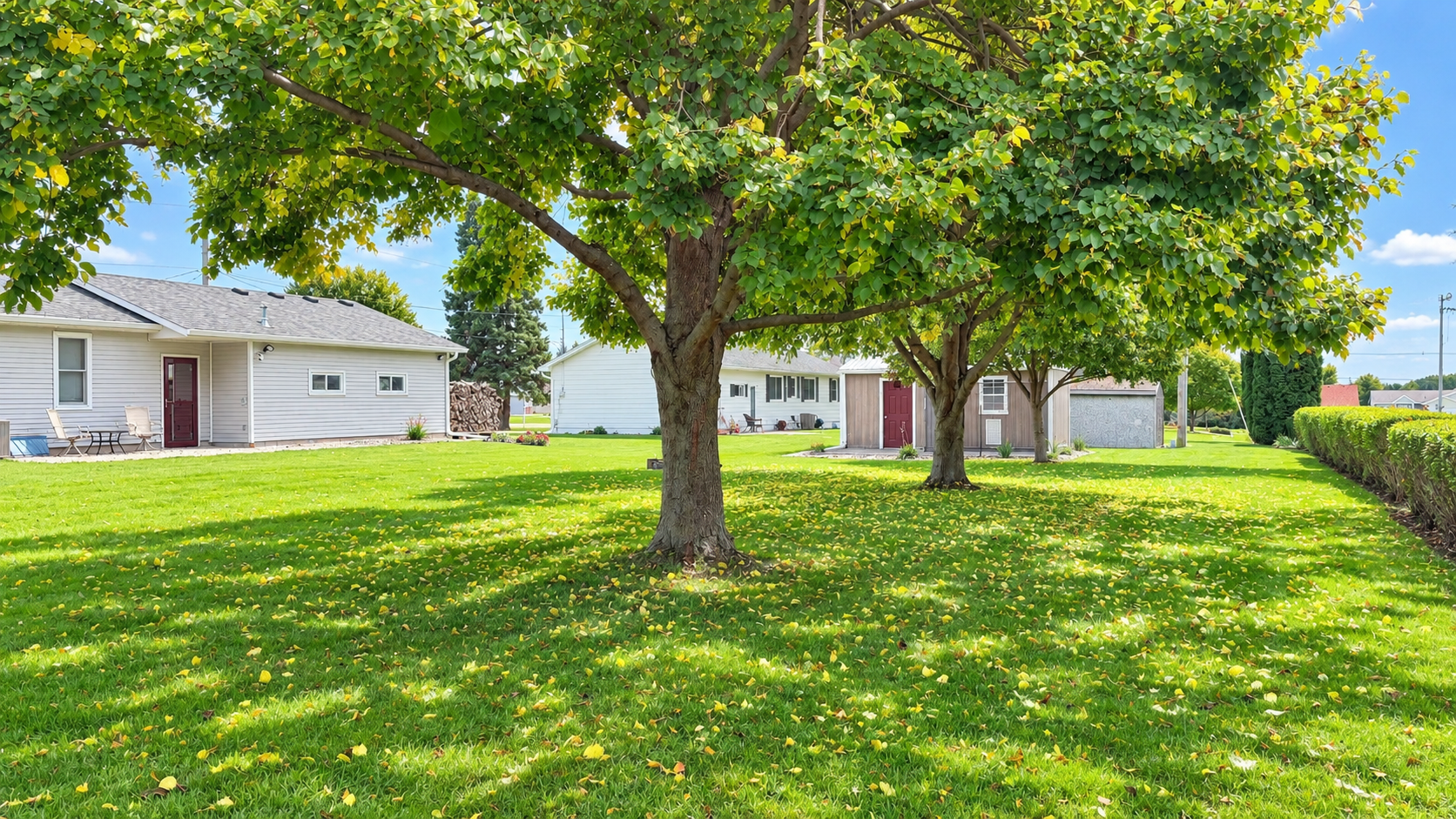 480 Hazeltine Place NE, Owatonna, MN 55060 480 Bkyd trees.png