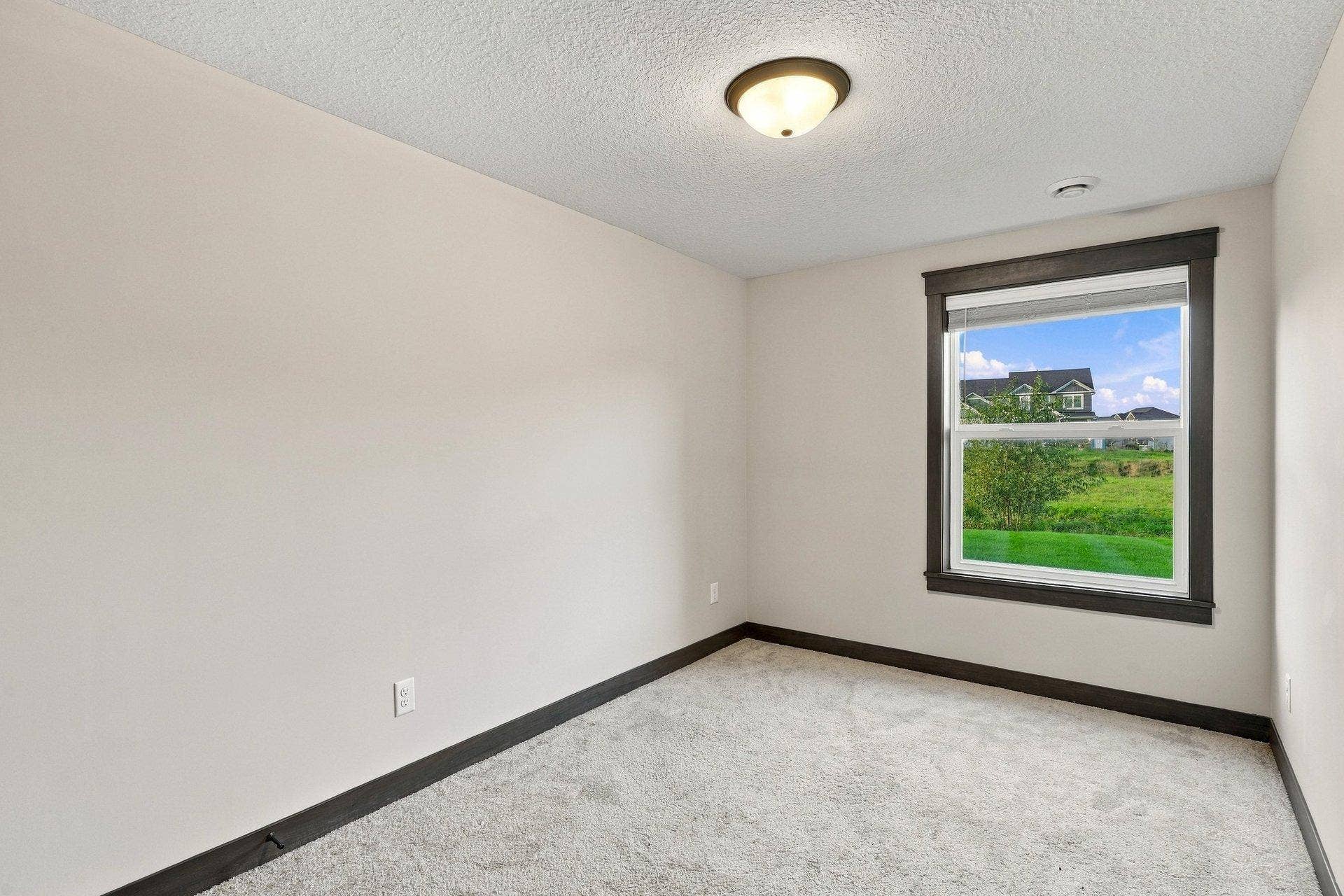 8212 198th Street W, Lakeville, MN 55044 Lower level bedroom 5