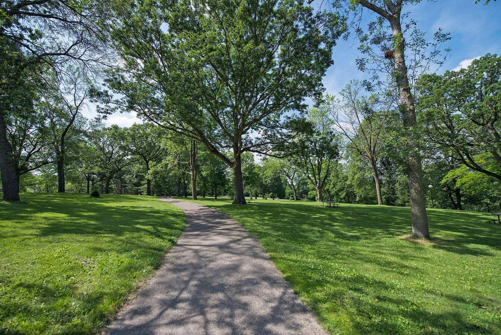 3221 Ulysses Street NE, 80, Minneapolis, MN 55418