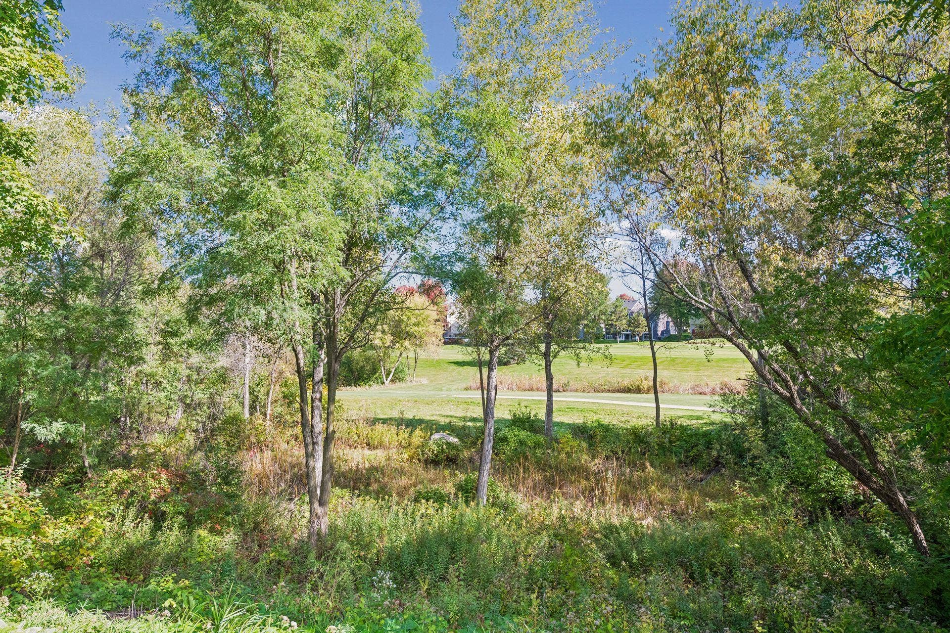 2796 87th Street E, Inver Grove Heights, MN 55076 View from your patio!