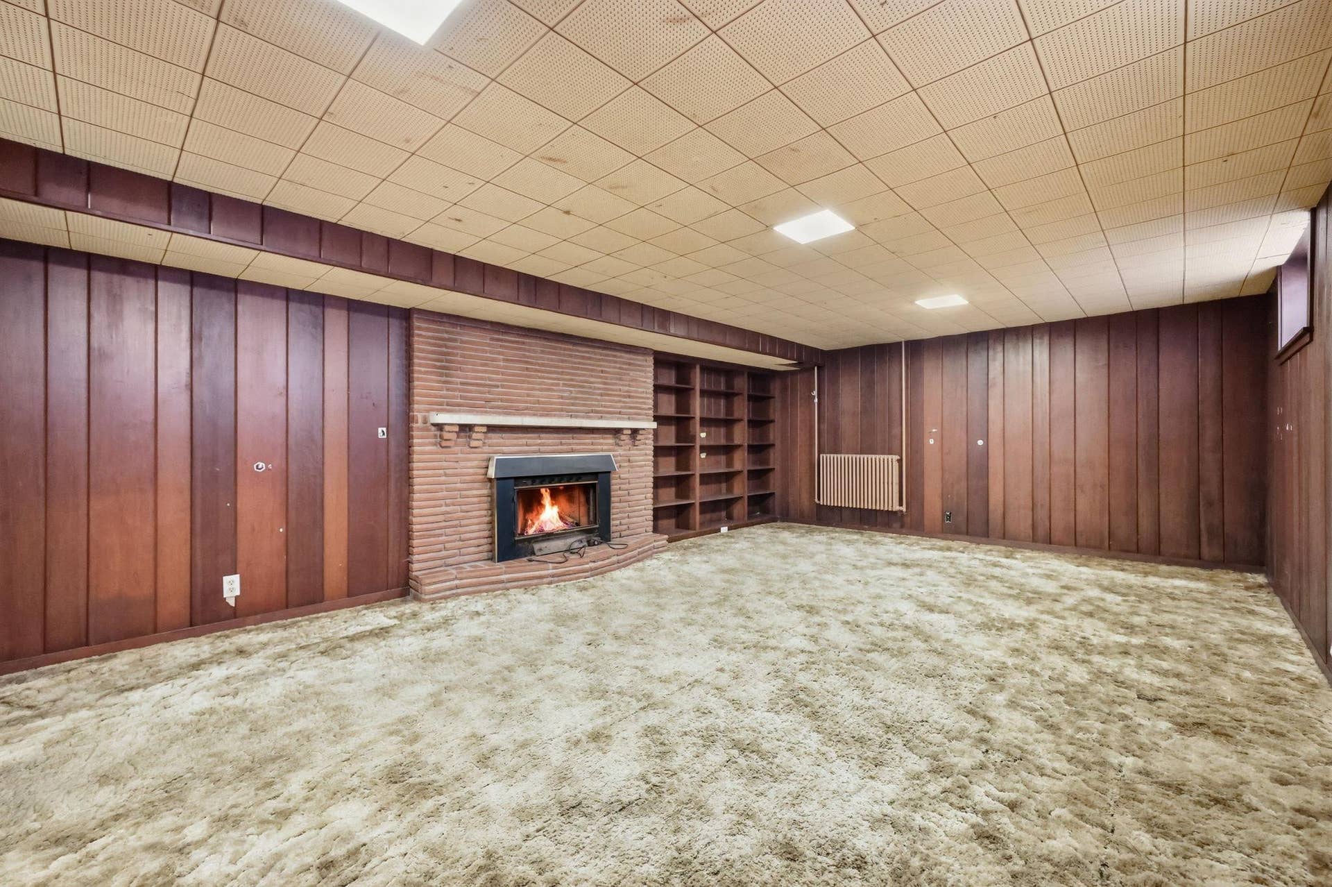 1030 Hyacinth Avenue E, 98, Saint Paul, MN 55106 30-web-or-mls-016_K84A6849_with_fire.jpg