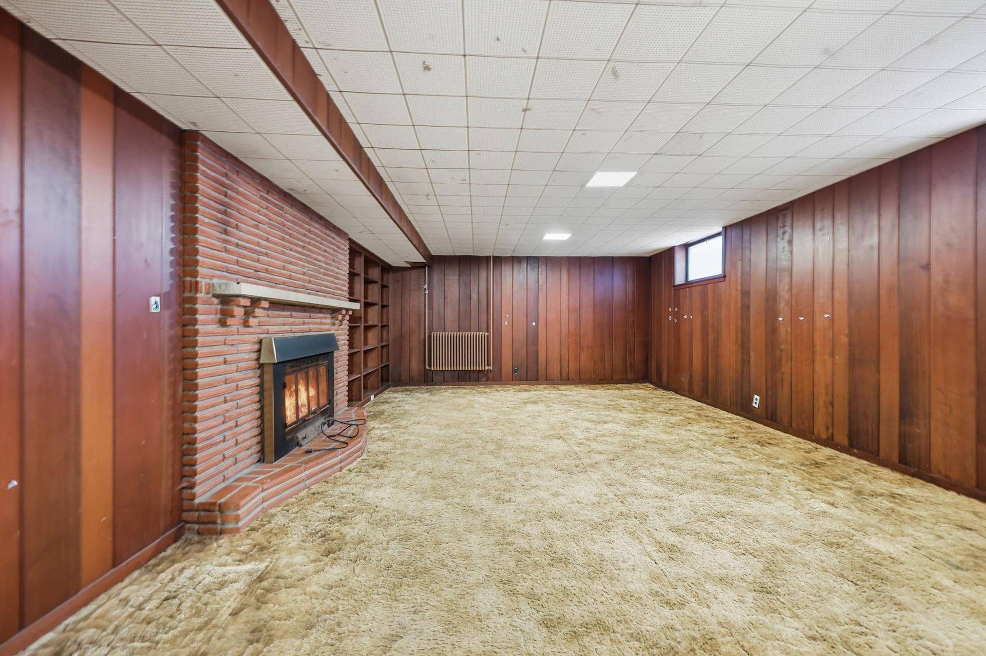 1030 Hyacinth Avenue E, 98, Saint Paul, MN 55106 28-web-or-mls-014_K84A6843_with_fire.jpg