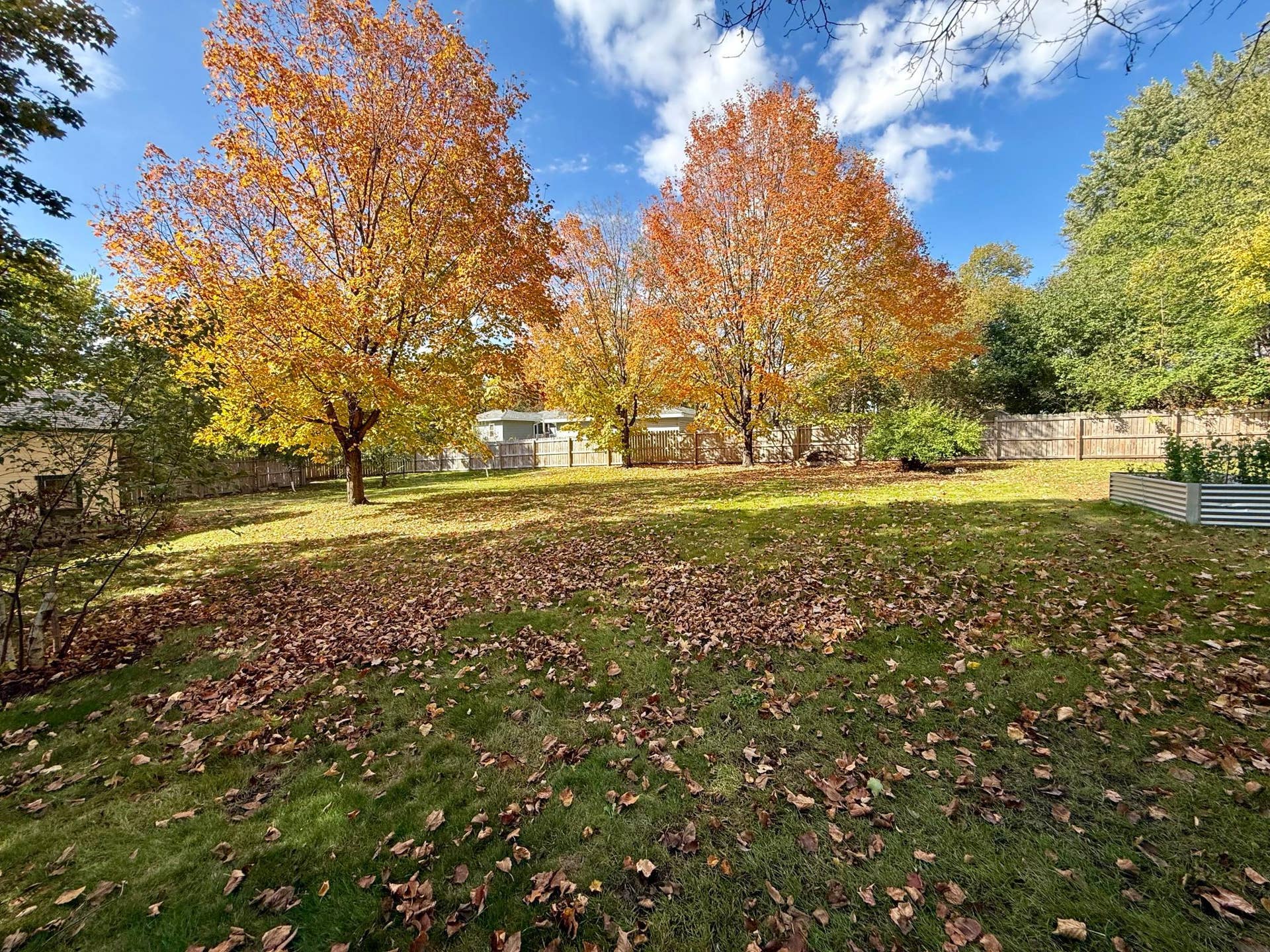 3308 N Nokomis NE, Alexandria, MN 56308 Yard facing west