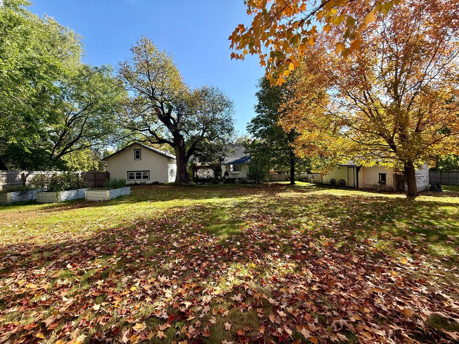3308 N Nokomis NE, Alexandria, MN 56308 Yard facing house