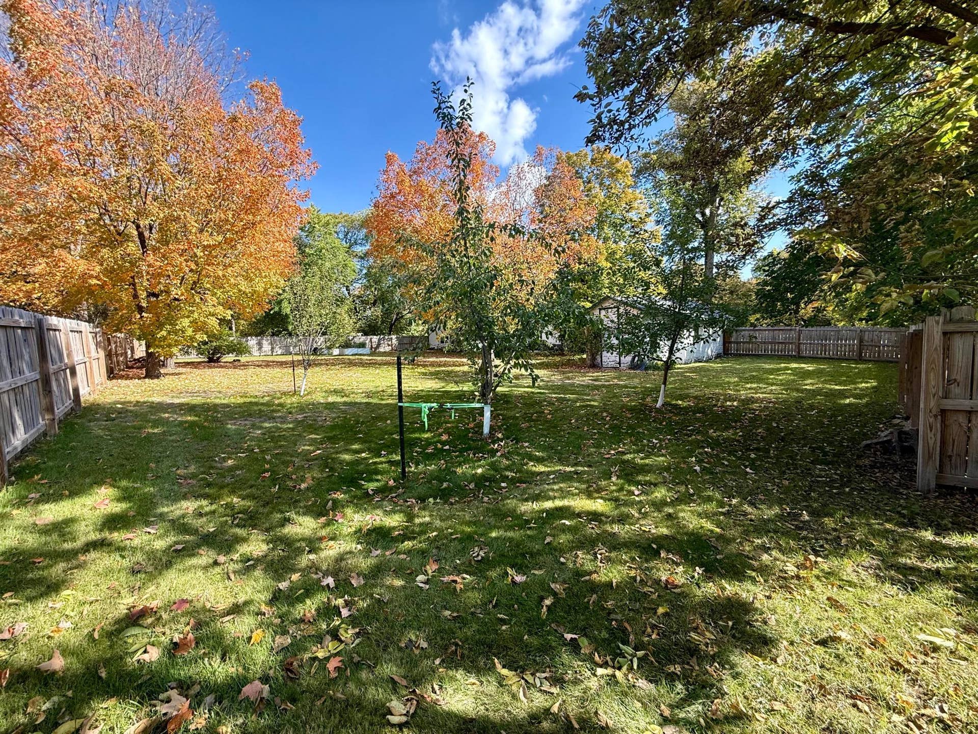 3308 N Nokomis NE, Alexandria, MN 56308 Yard facing north