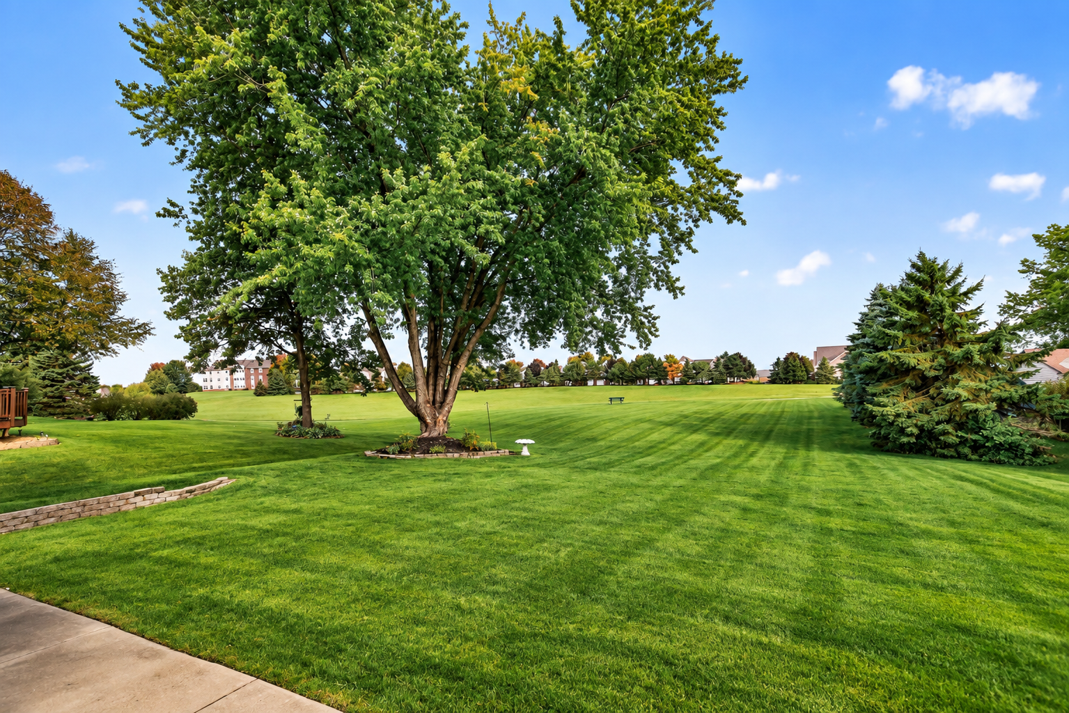 1608 Tierney Drive, Hastings, MN 55033 Walking path and city property behind home creates