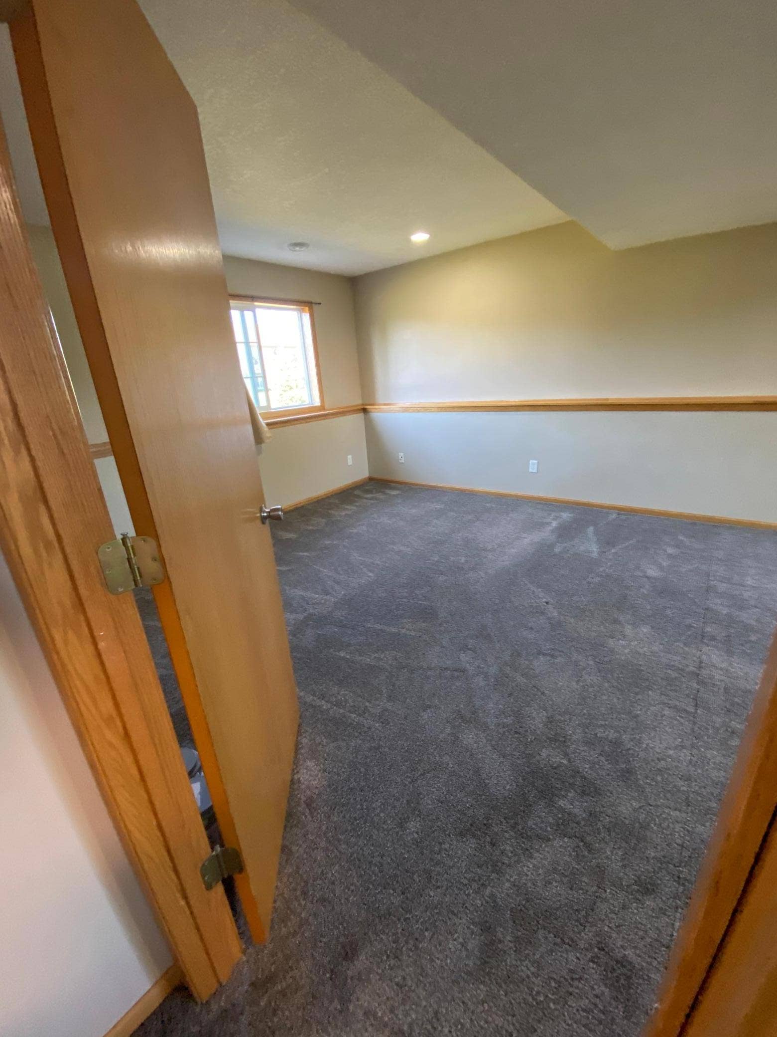 609 Dogwood Street NE, Lonsdale, MN 55046 Lower Bedroom