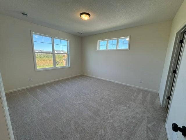 6122 158th Street N, Hugo, MN 55038 Willow II - Owner's Suite - Lot 60.jpg