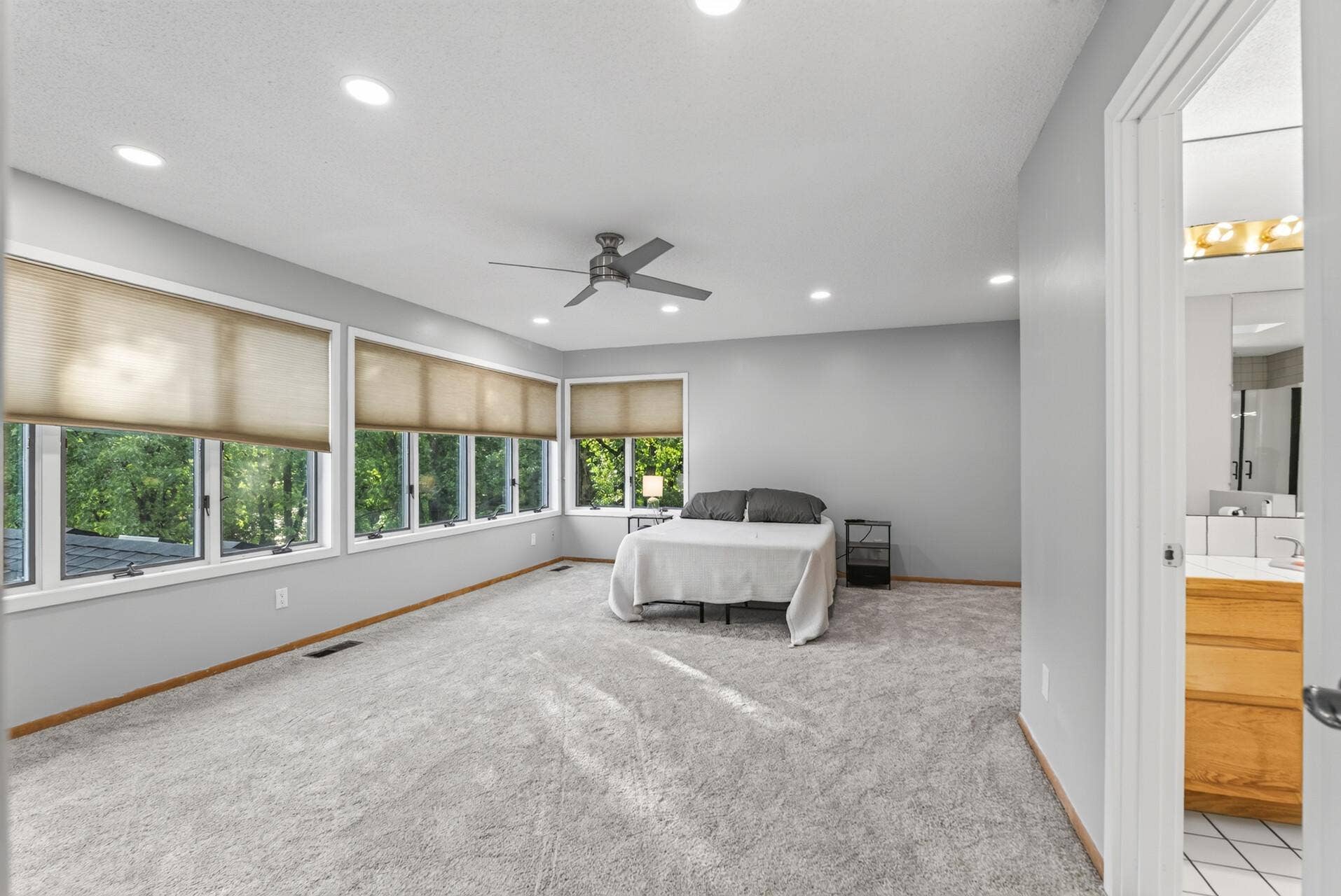 14797 192nd Avenue NW, Elk River, MN 55330 Primary Bedroom