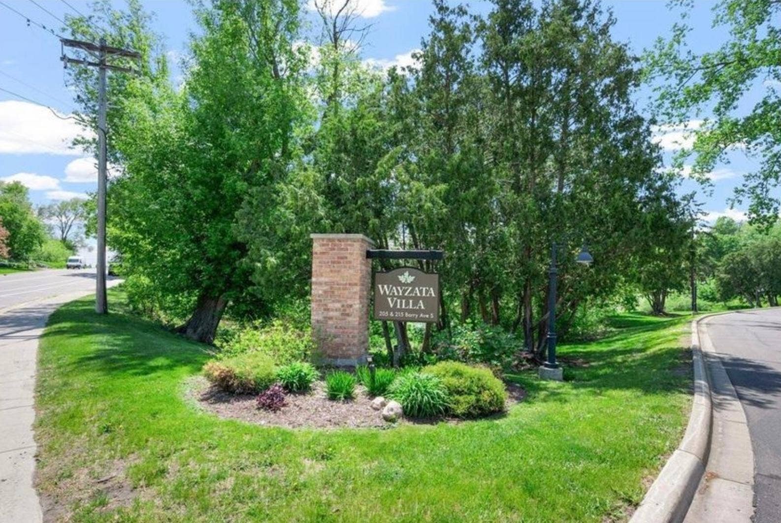 205 Barry Avenue S, #311, Wayzata, MN 55391