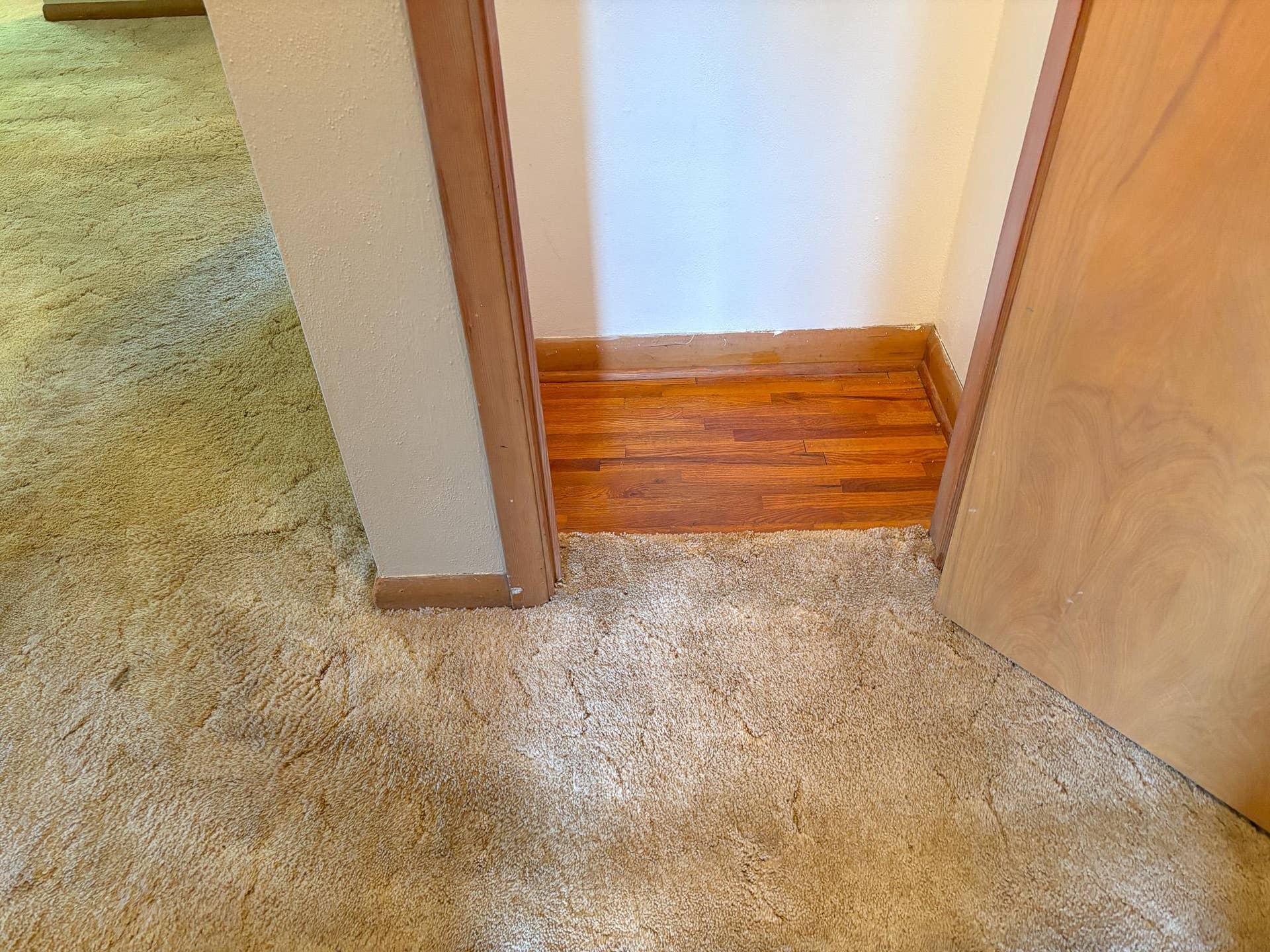 740 E Gustavus Avenue, Fergus Falls, MN 56537 ML Hall Closet (Oak Floors)