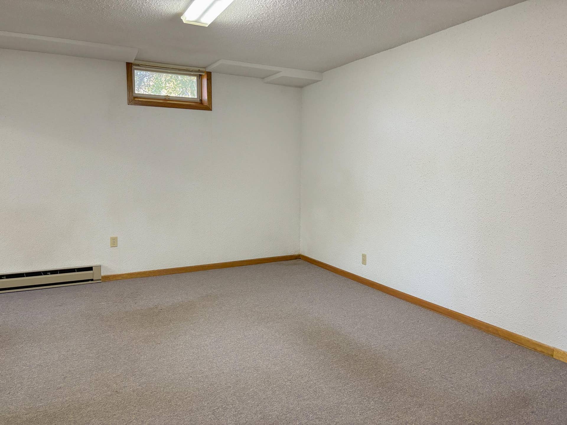 740 E Gustavus Avenue, Fergus Falls, MN 56537 Lower Level