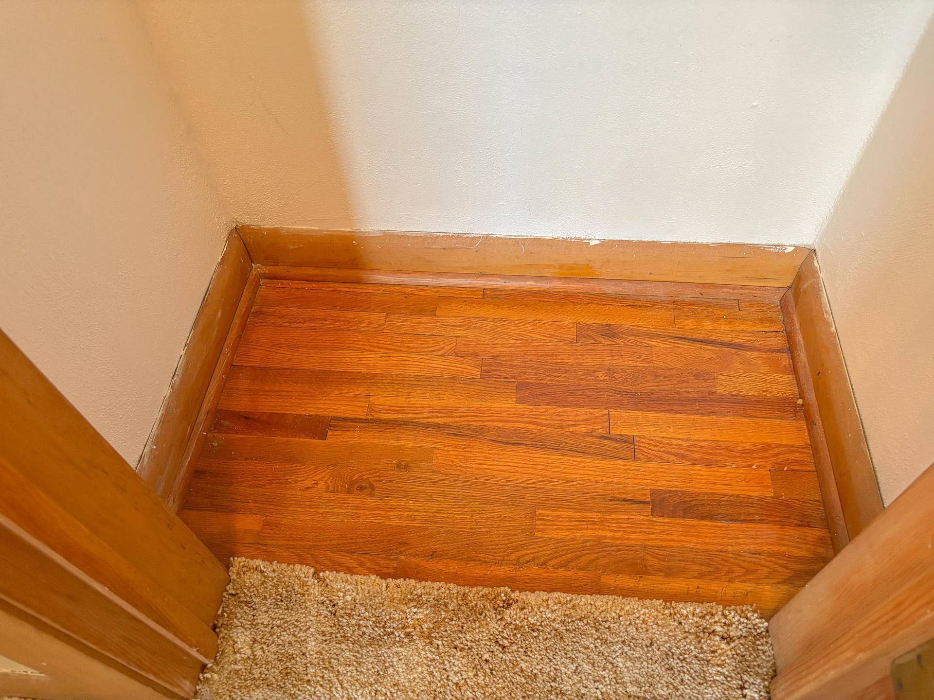 740 E Gustavus Avenue, Fergus Falls, MN 56537 ML Hall Closet (Oak Floors)