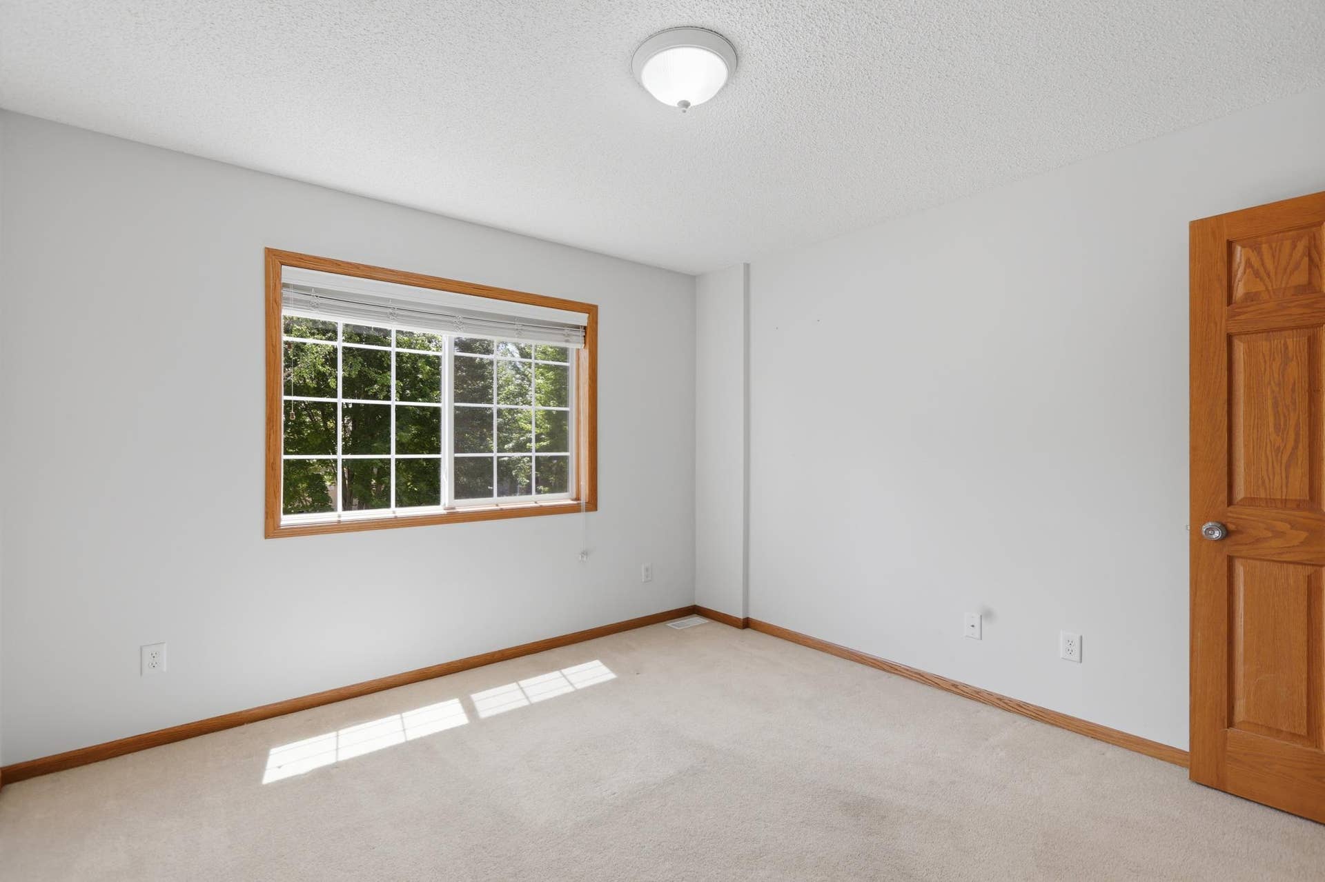 9142 Woodland Drive, Saint Bonifacius, MN 55375 Bedroom #3
