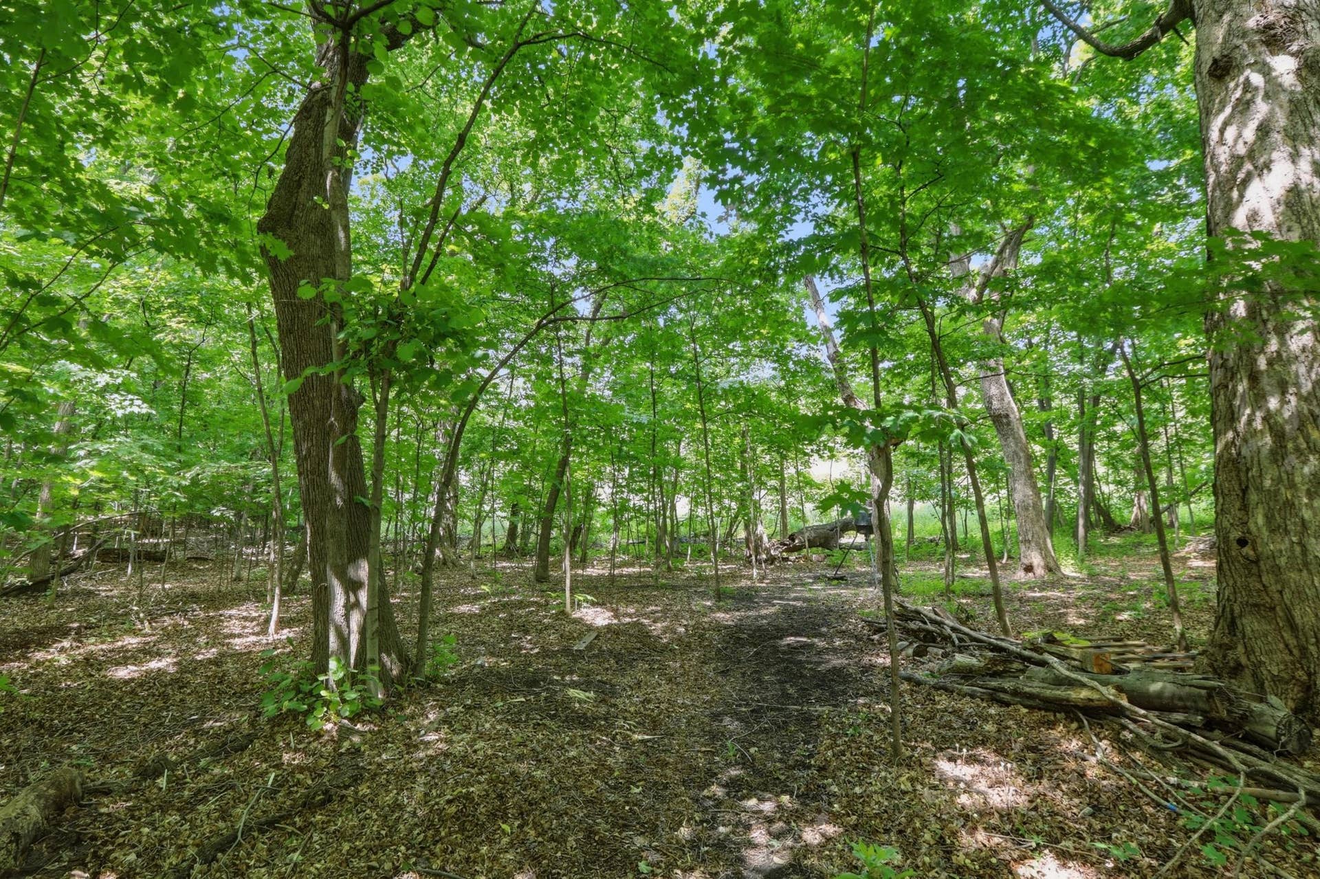 9142 Woodland Drive, Saint Bonifacius, MN 55375 Gorgeous Backyard Views