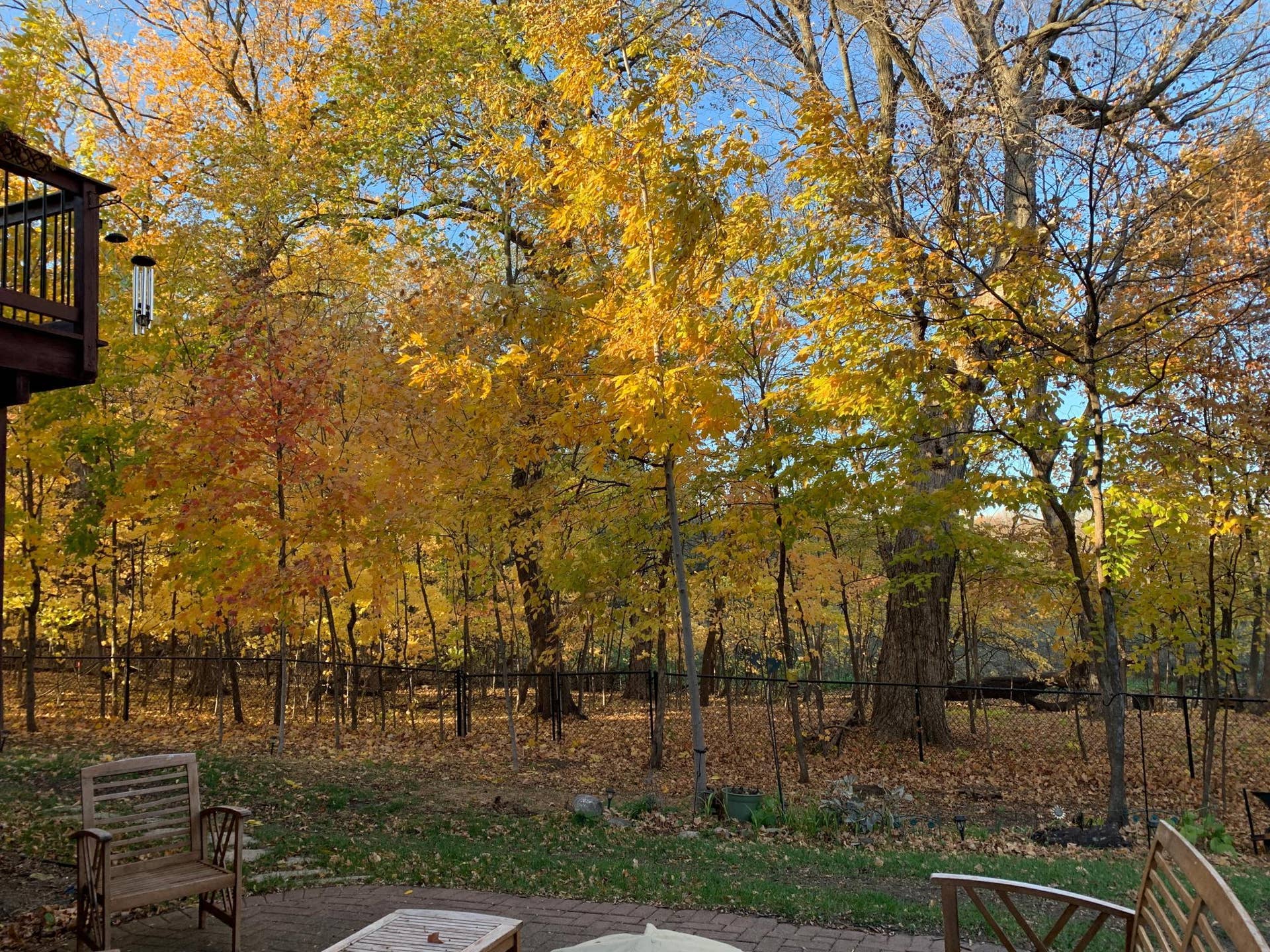 9142 Woodland Drive, Saint Bonifacius, MN 55375 Fall Nature Views