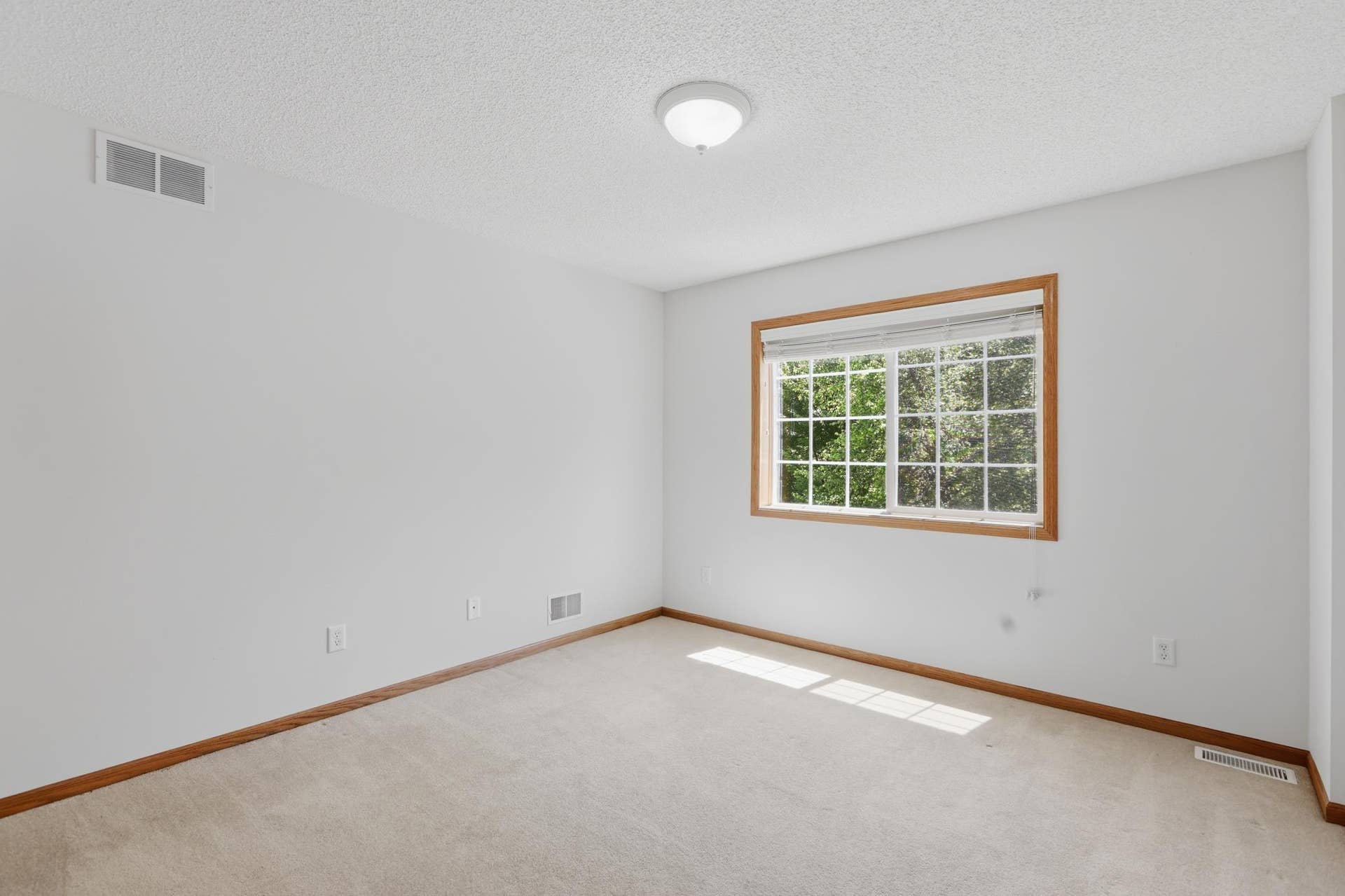 9142 Woodland Drive, Saint Bonifacius, MN 55375 Bedroom #3