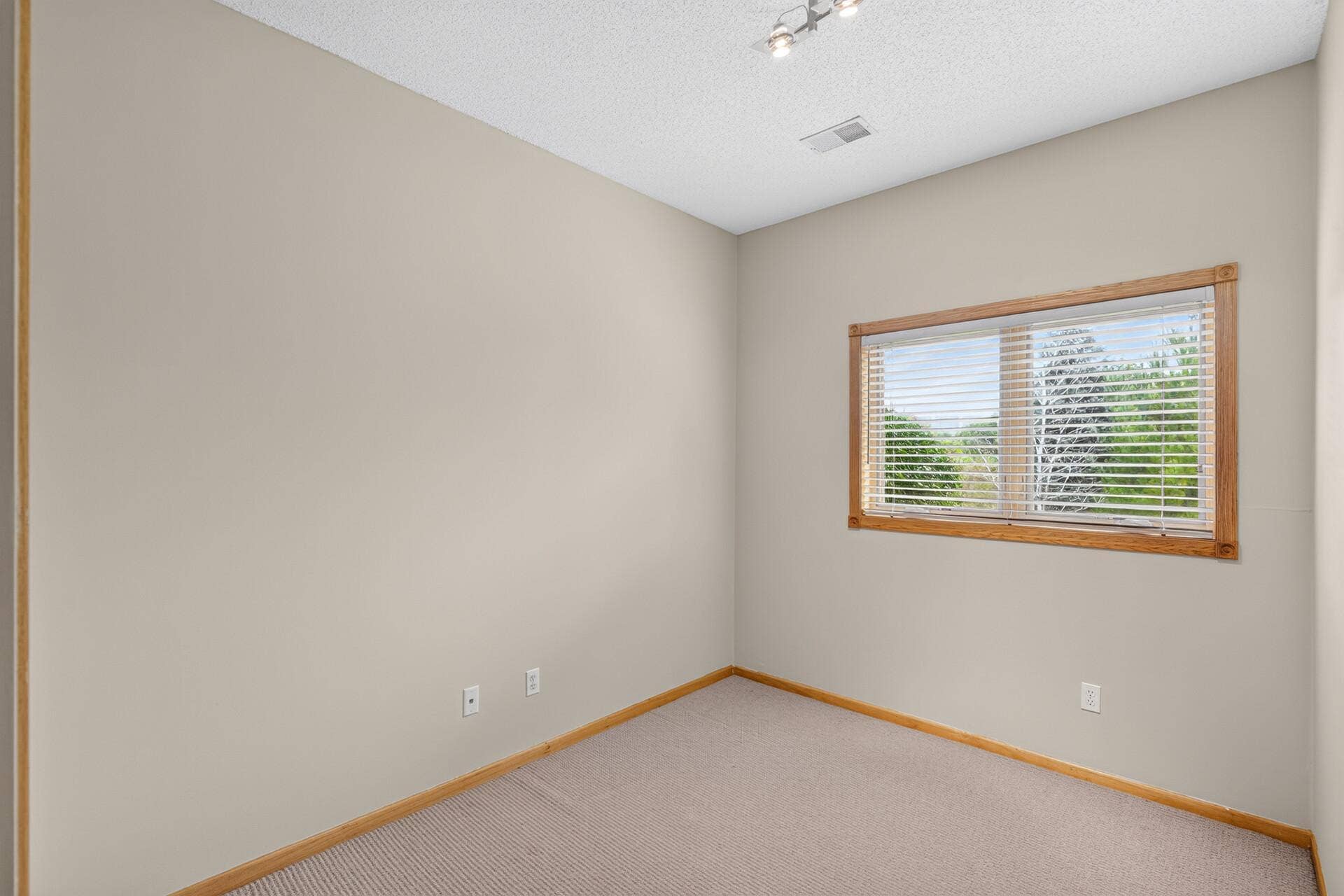 6585 Promontory Drive, Eden Prairie, MN 55346 Main Level Bedroom