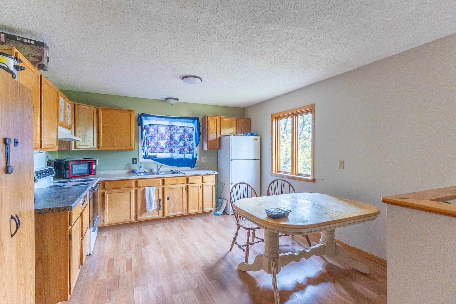 1311 3rd Street SE, Bemidji, MN 56601 1311 3rd St-41.jpg