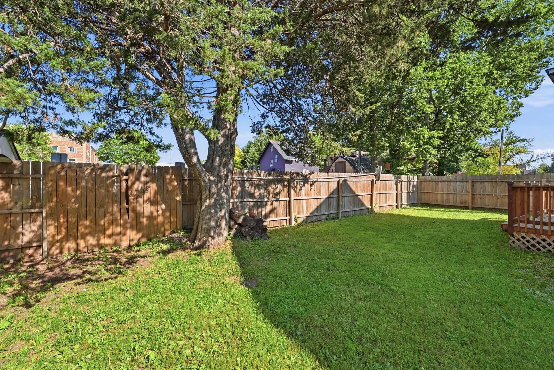 5-web-or-mls-DSC08311.jpg
