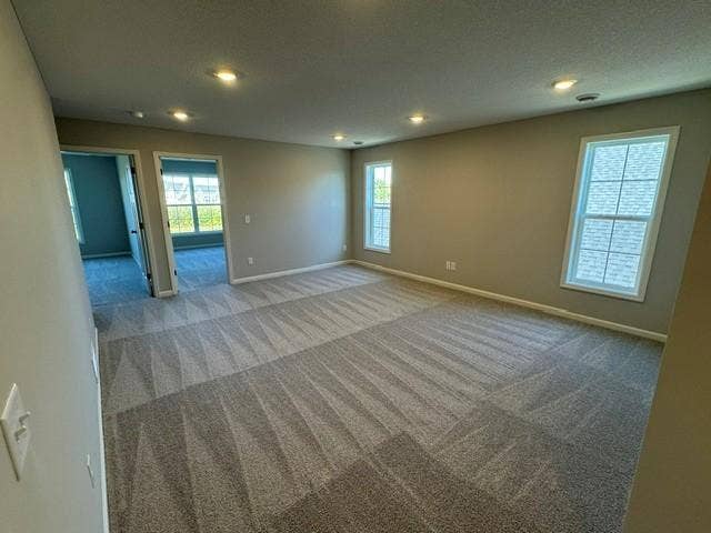6132 158th Street N, Hugo, MN 55038 Magnolia - 2nd Floor Loft - Lot 61.jpg