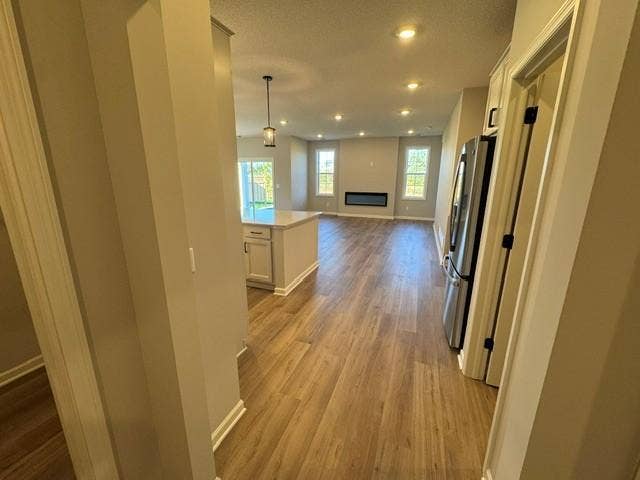 6132 158th Street N, Hugo, MN 55038 Magnolia - Back Entry - Lot 61.jpg
