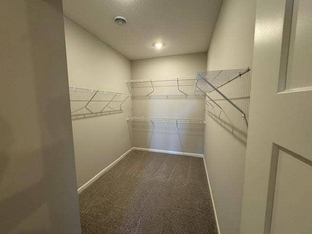 6132 158th Street N, Hugo, MN 55038 Magnolia - Owner's Suite Closet - Lot 61.jpg