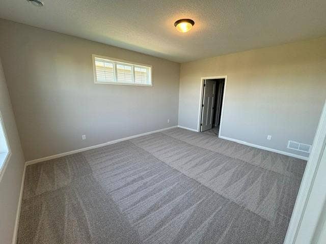 6132 158th Street N, Hugo, MN 55038 Magnolia - Owner's Suite - Lot 61.jpg