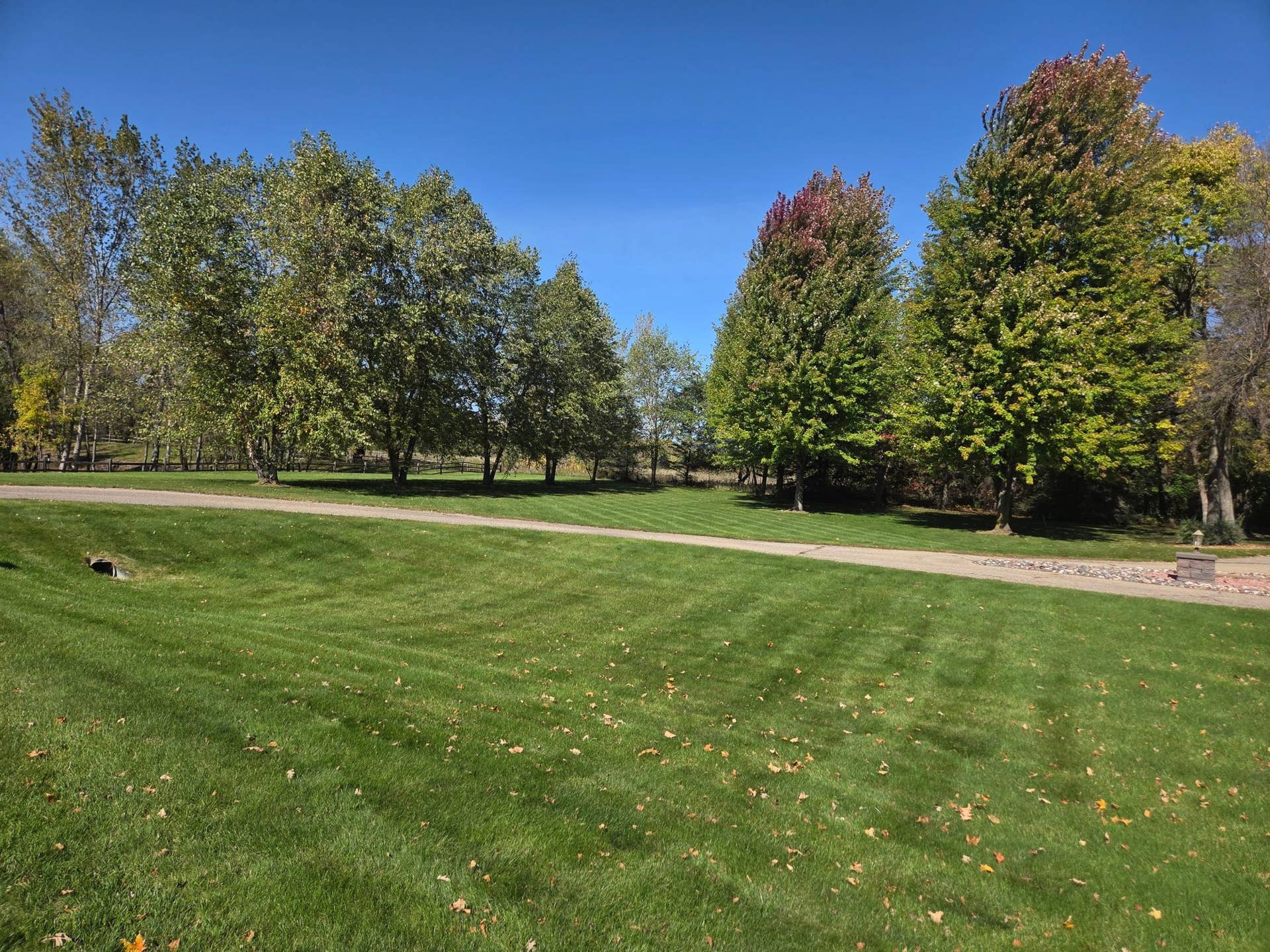 9284 Ehler Avenue SE, Delano, MN 55328 Ehler yard front.jpg