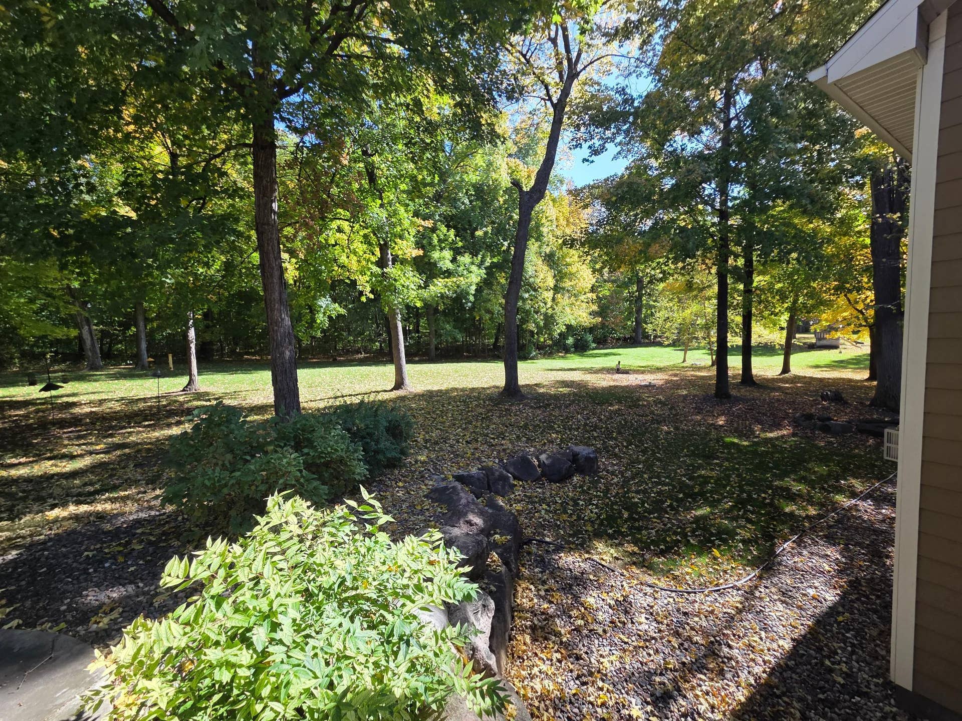9284 Ehler Avenue SE, Delano, MN 55328 ehler backyard treeeees.jpg