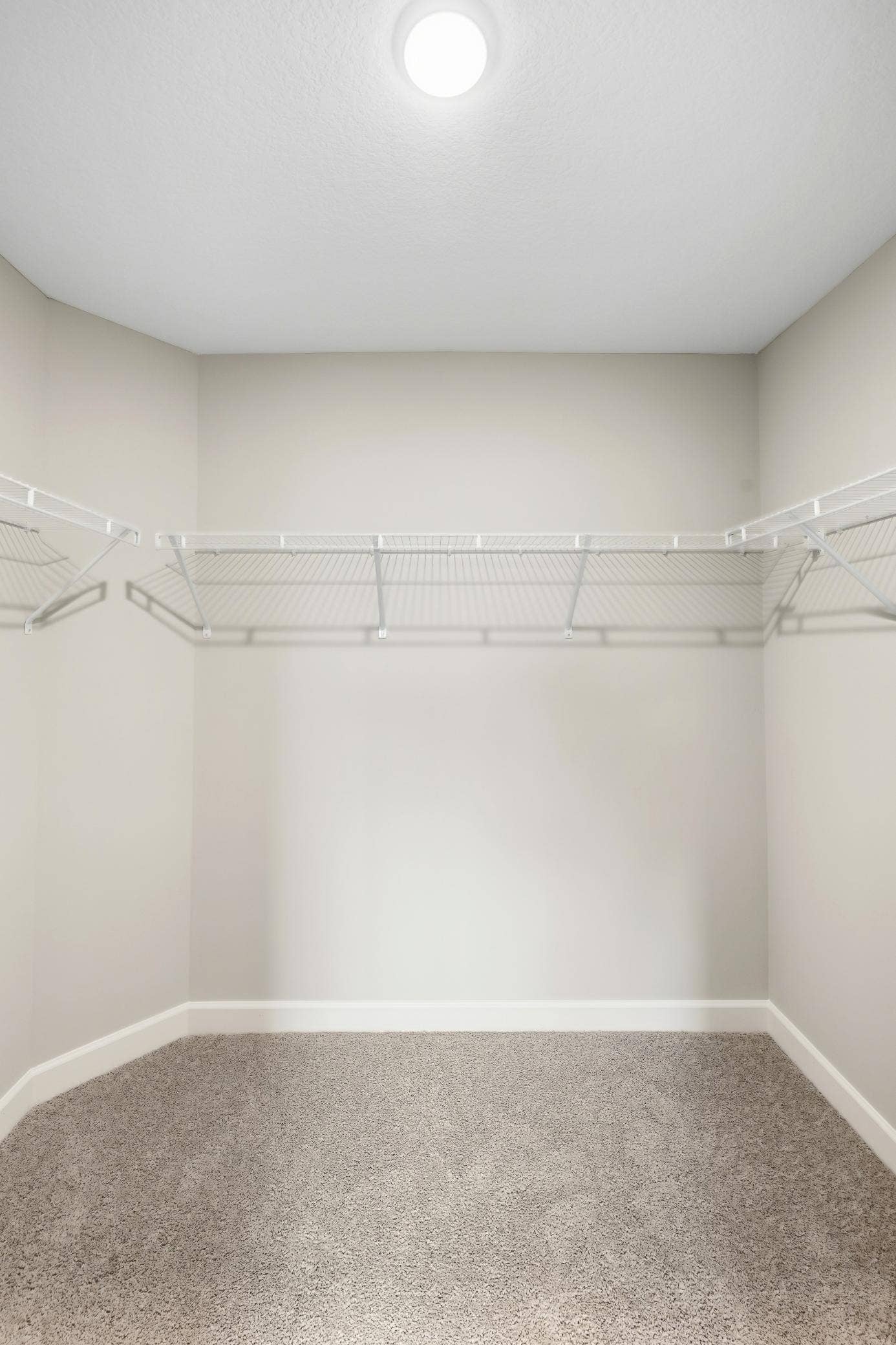 Primary Suite - The Crestview at 810 Walnut Ct in Oakview Ridge!