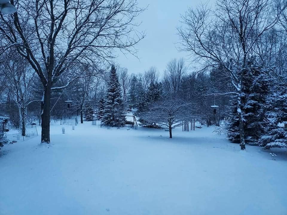 414 Ramsey Avenue, Carver, MN 55315 FB_IMG_1790047689759.jpeg
